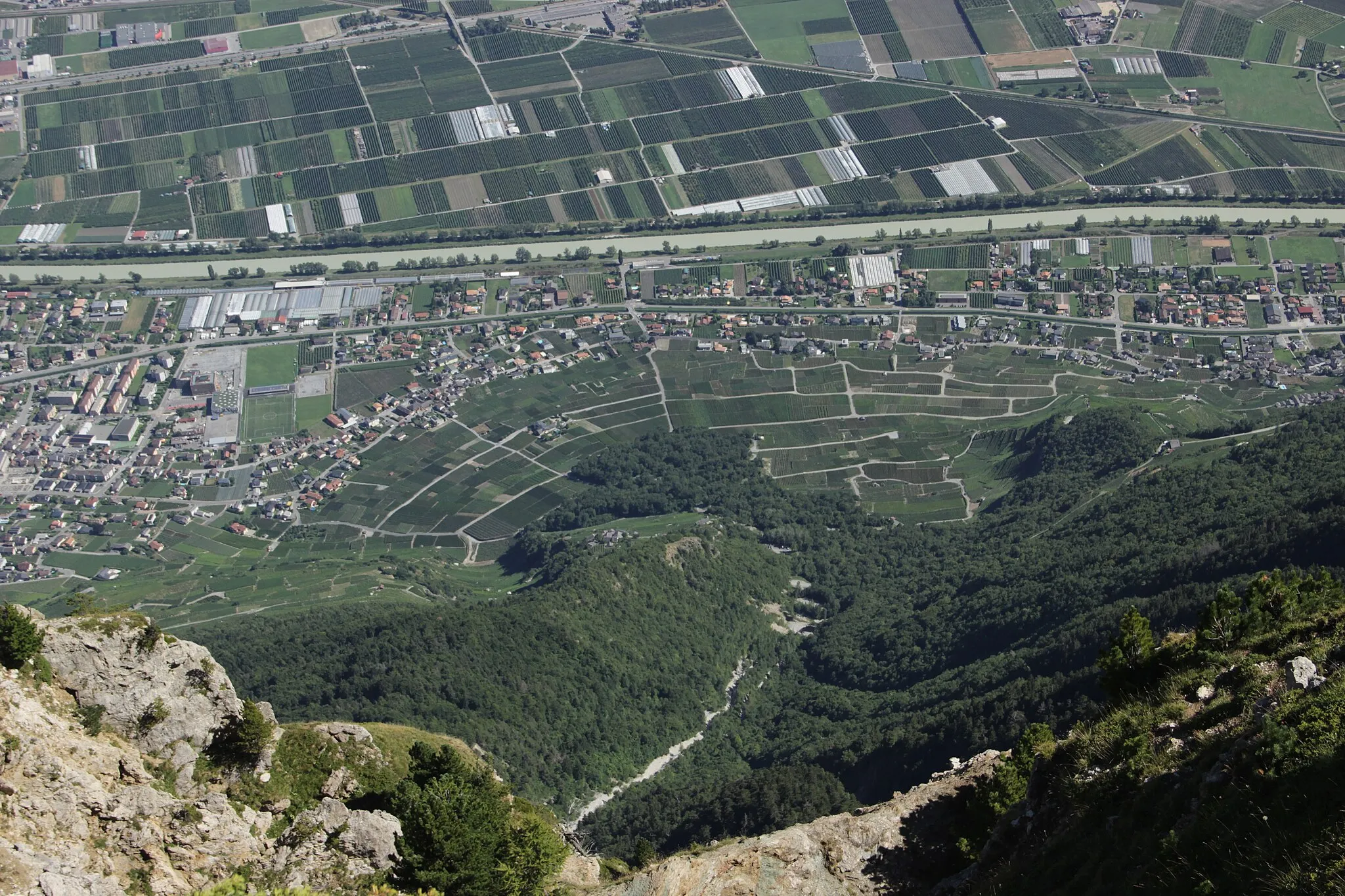 Photo showing: Vineyards between Fully and Branson