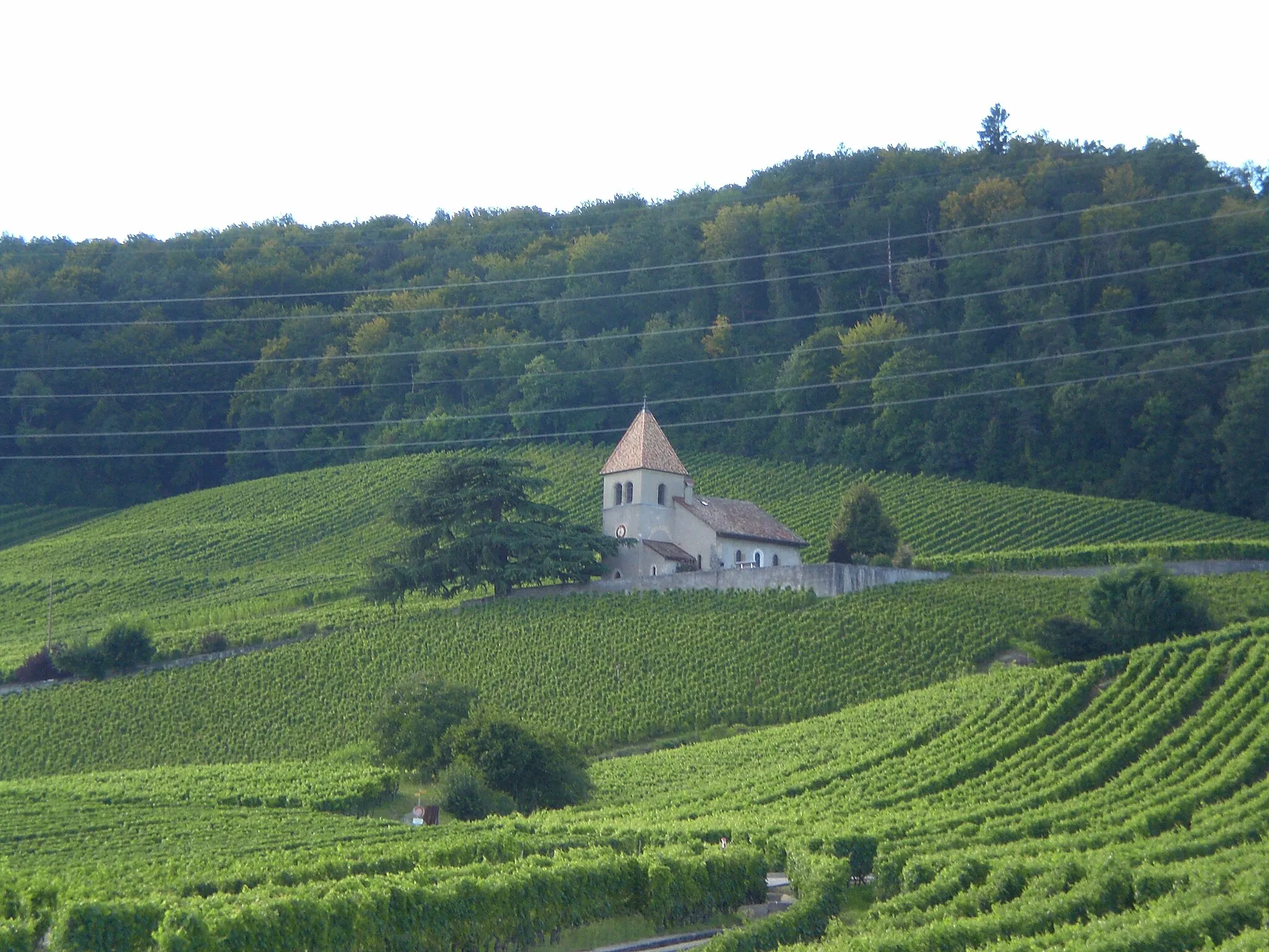 Photo showing: Chapelle de Luins, dans les vignes