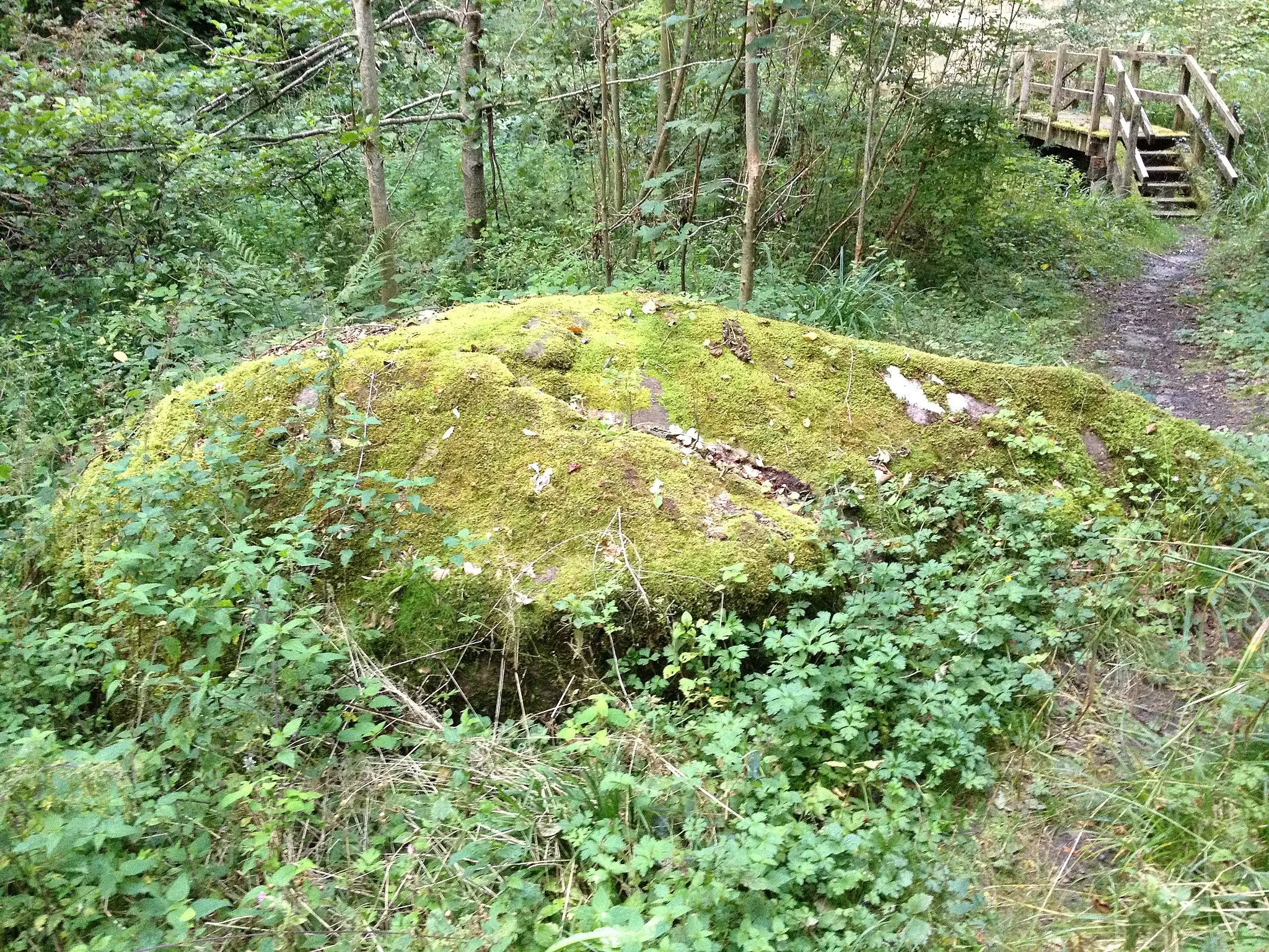 Photo showing: Megalithic stone in St-Cierges (CH) near the place called "La Mélulaz".