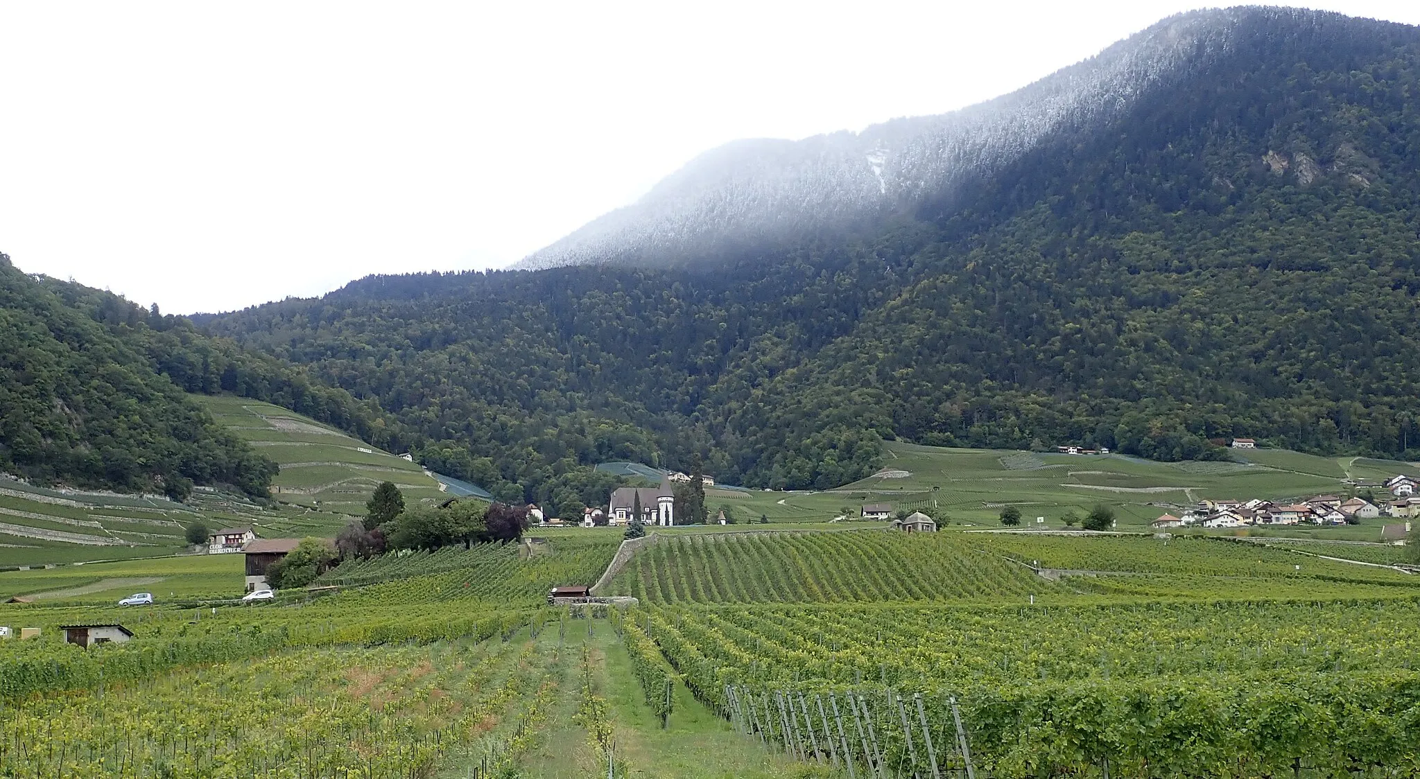 Photo showing: Le vignoble de l'Ovaille en haut à gauche du Château Maison-Blanche. A droite un des hameaux d'Yvorne : Vers-Morey.