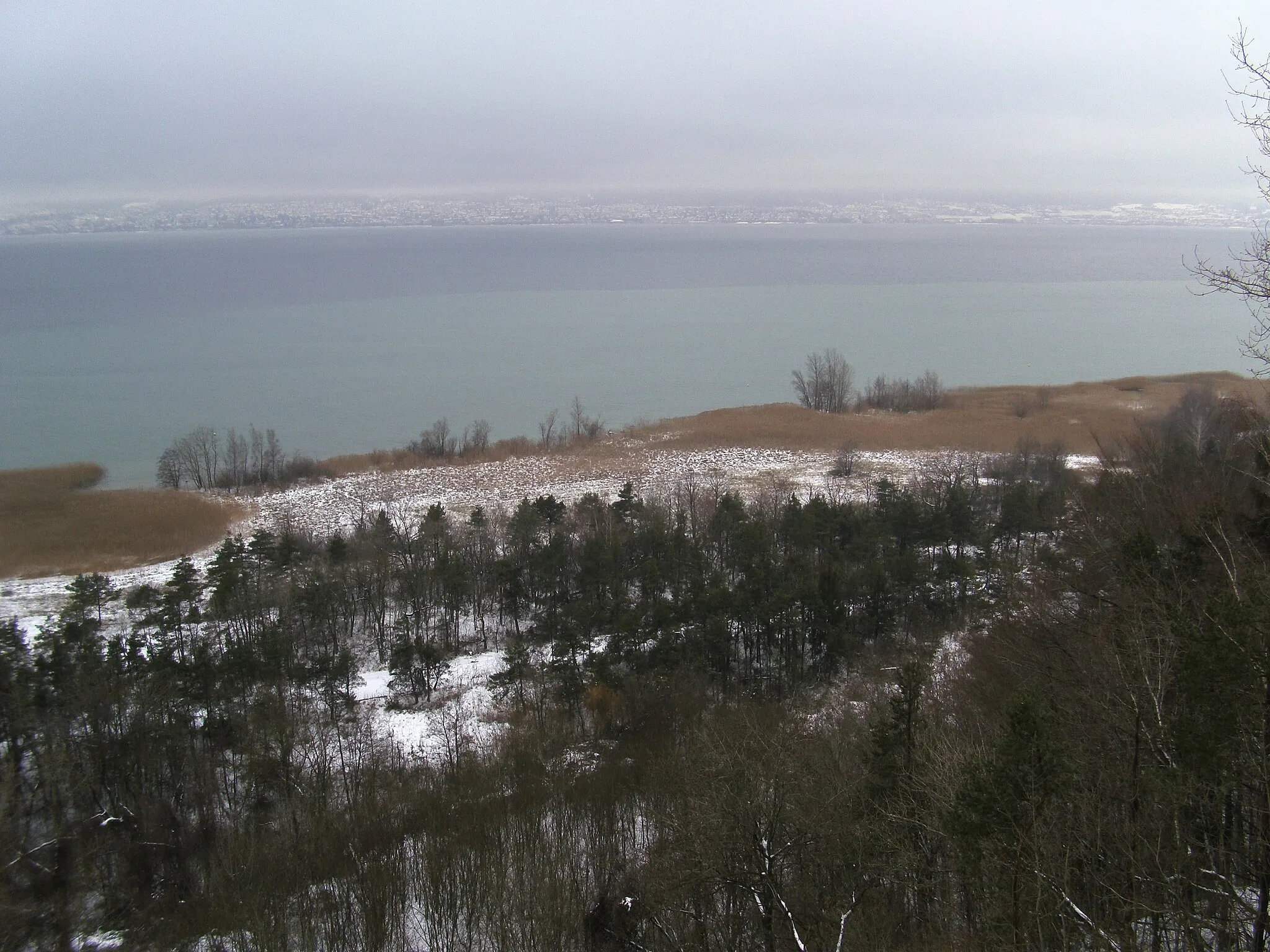 Photo showing: Chabrey, la Grande Cariçaie et au fond Neuchâtel