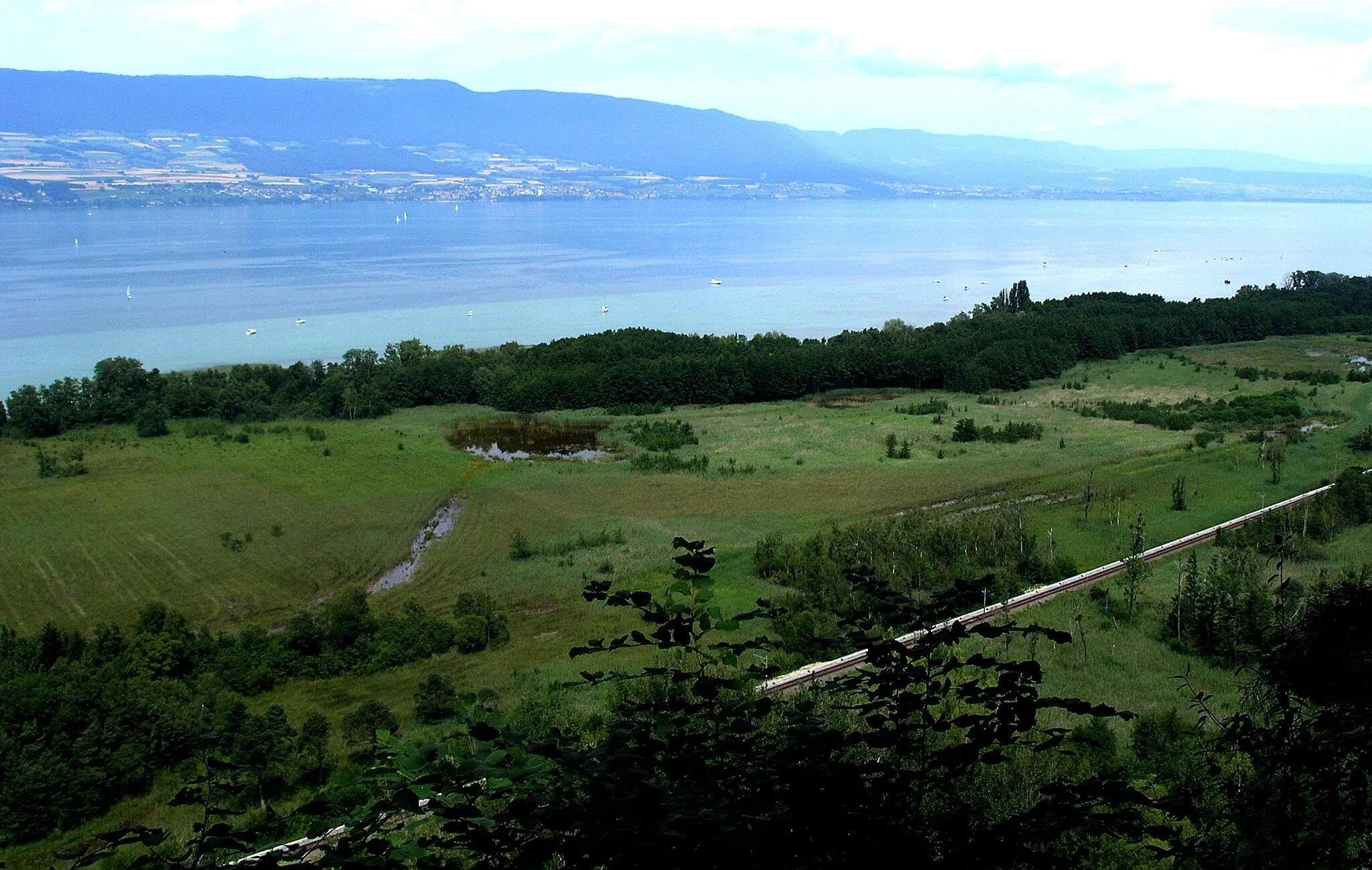 Photo showing: Grande Cariçaie at Cheyres FR, southern shore of Lake Neuchâtel, Switzerland