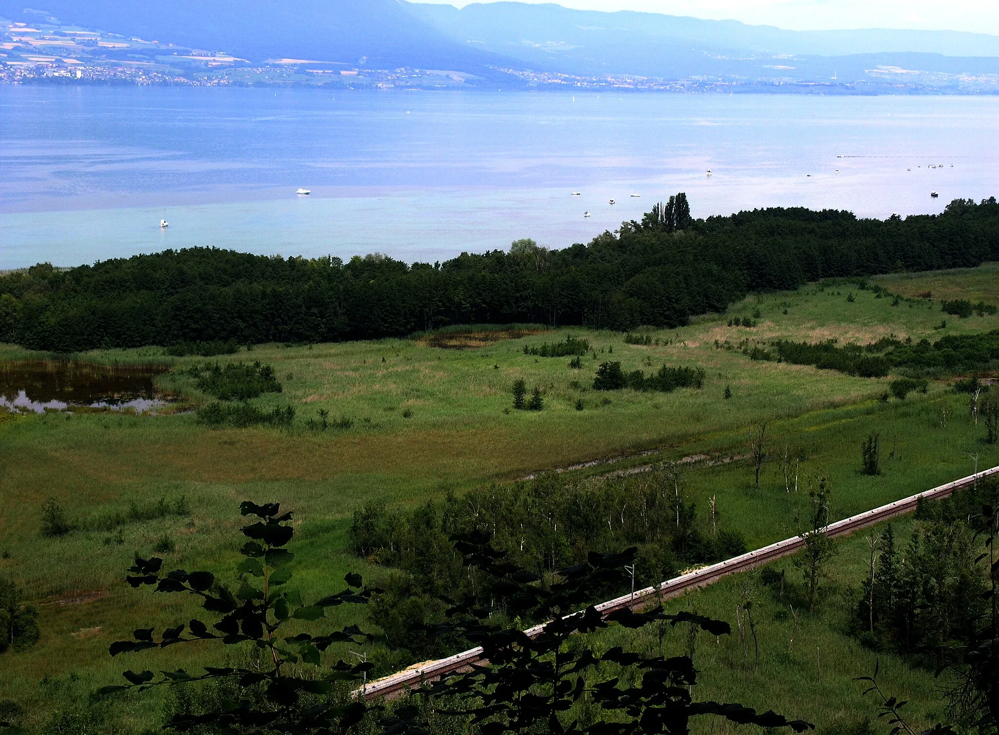 Photo showing: Grande Cariçaie at Cheyres FR, southern shore of Lake Neuchâtel, Switzerland