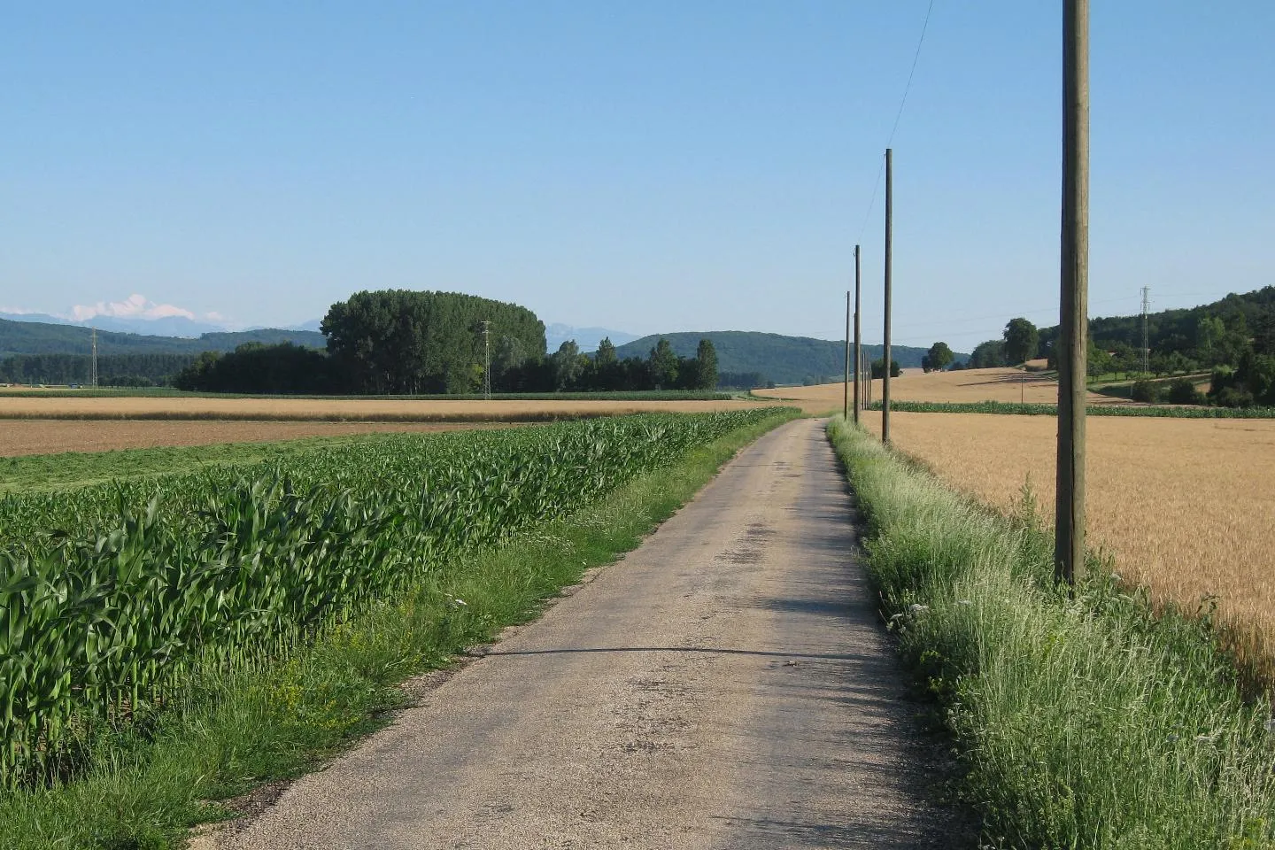 Photo showing: Chemin de l'Etraz Ausgangs Orbe (Les Granges) Richtung La Sarraz im Juli 2011.