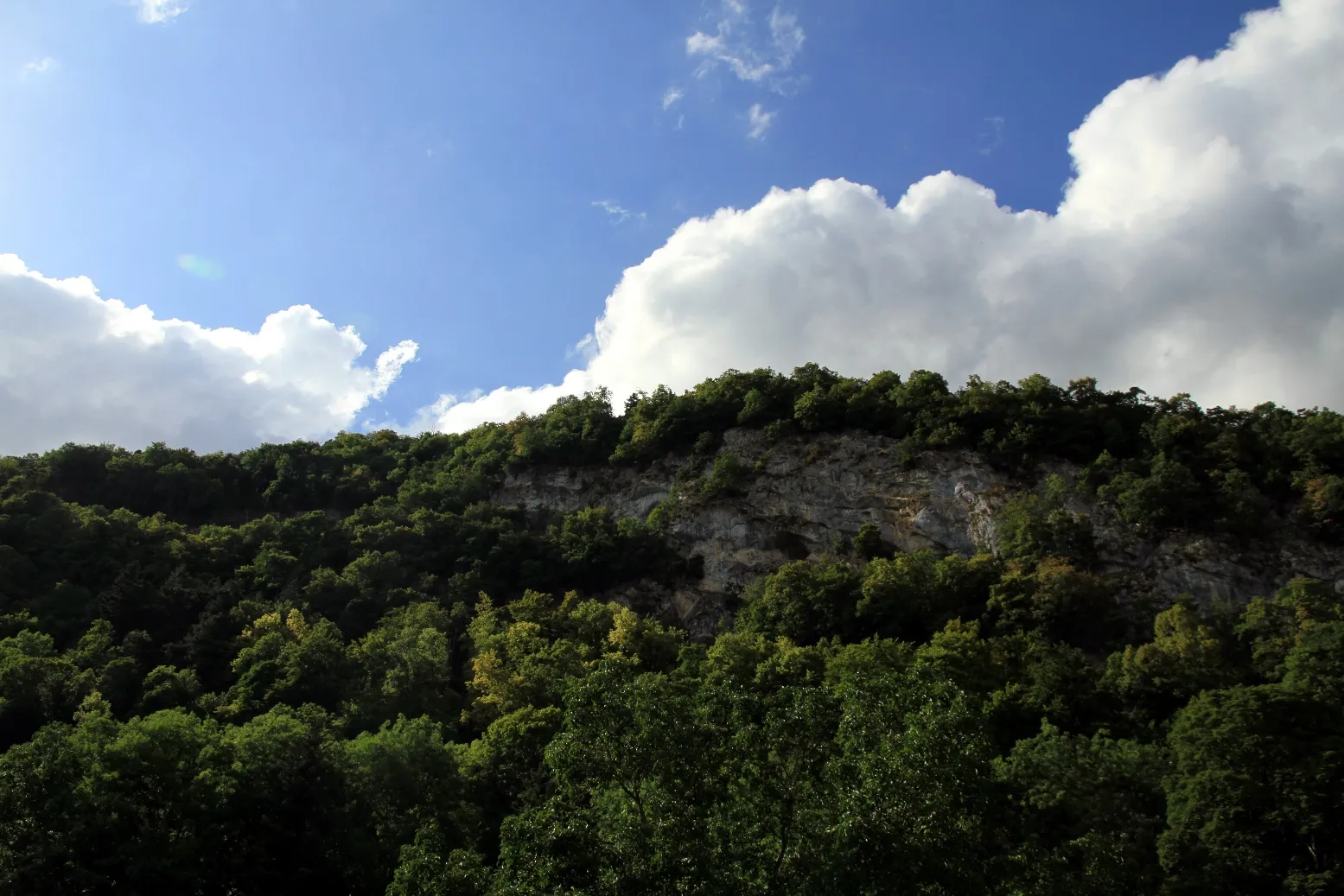 Photo showing: Les Caves à Barbareau, grottes au dessus de Baulmes. Probablement un des plus anciens abri habité par l'homme de la région, il y a plus de 10'000 ans.