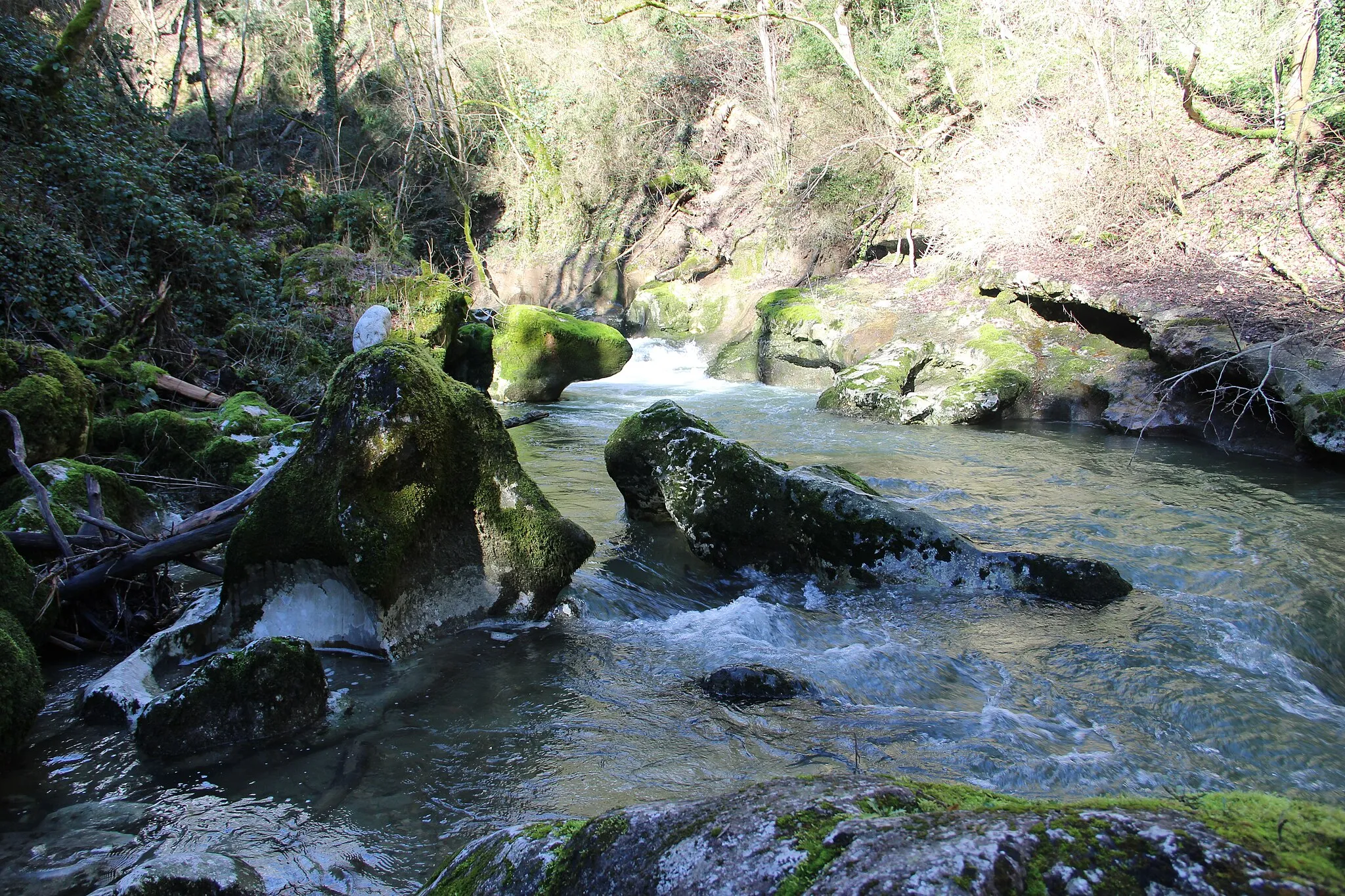 Photo showing: Near the Tine de Conflens