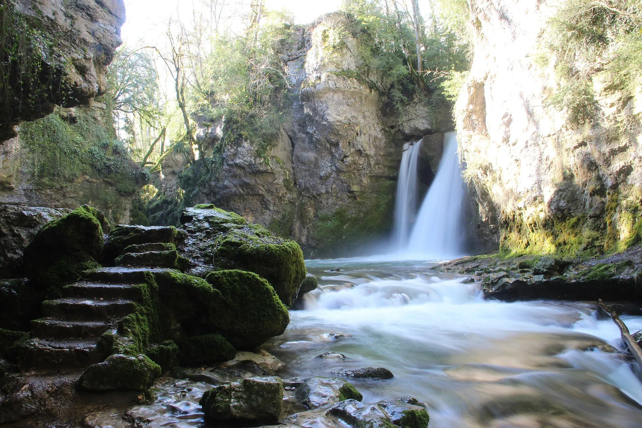 Photo showing: Tine de Conflens