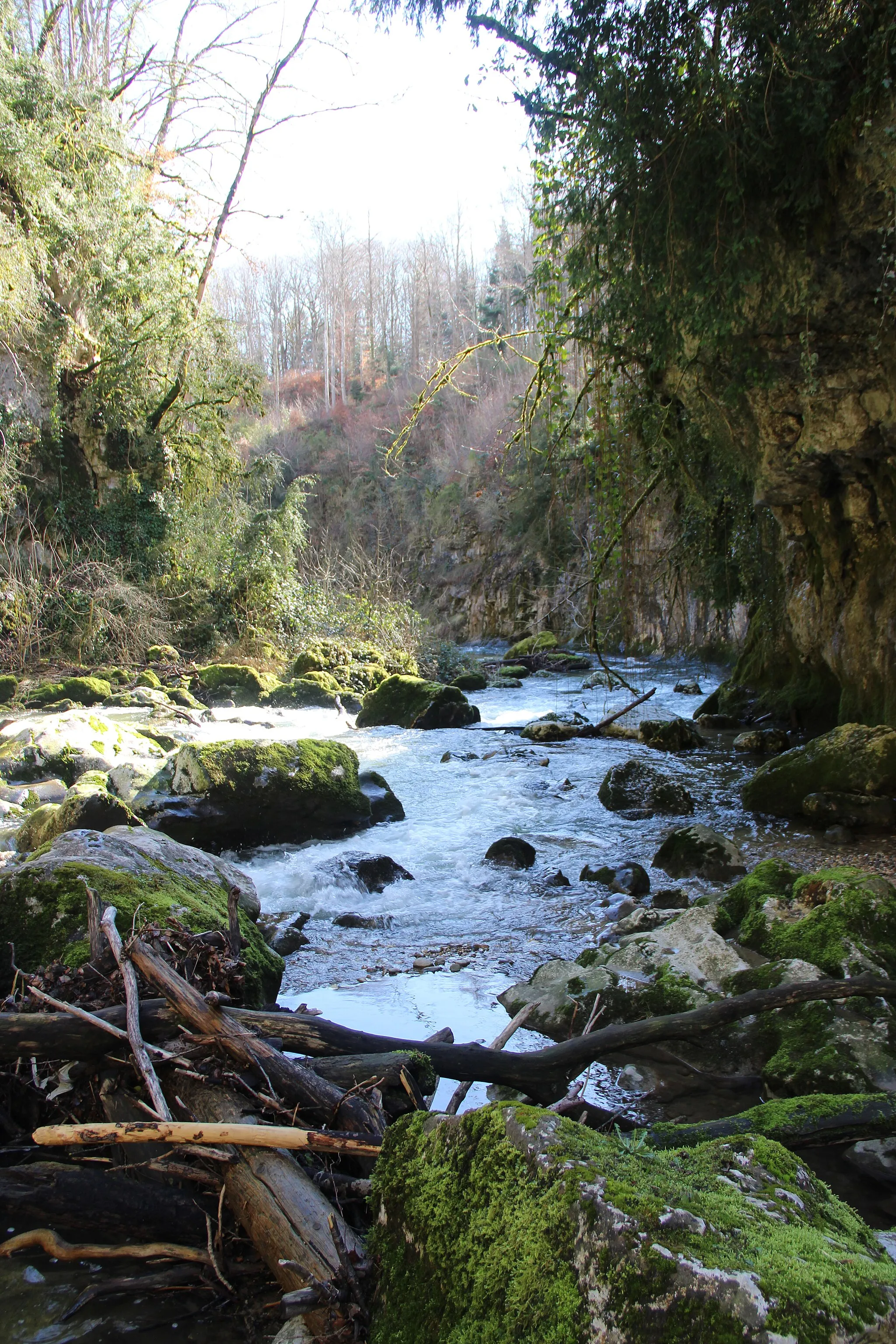 Photo showing: Near the Tine de Conflens