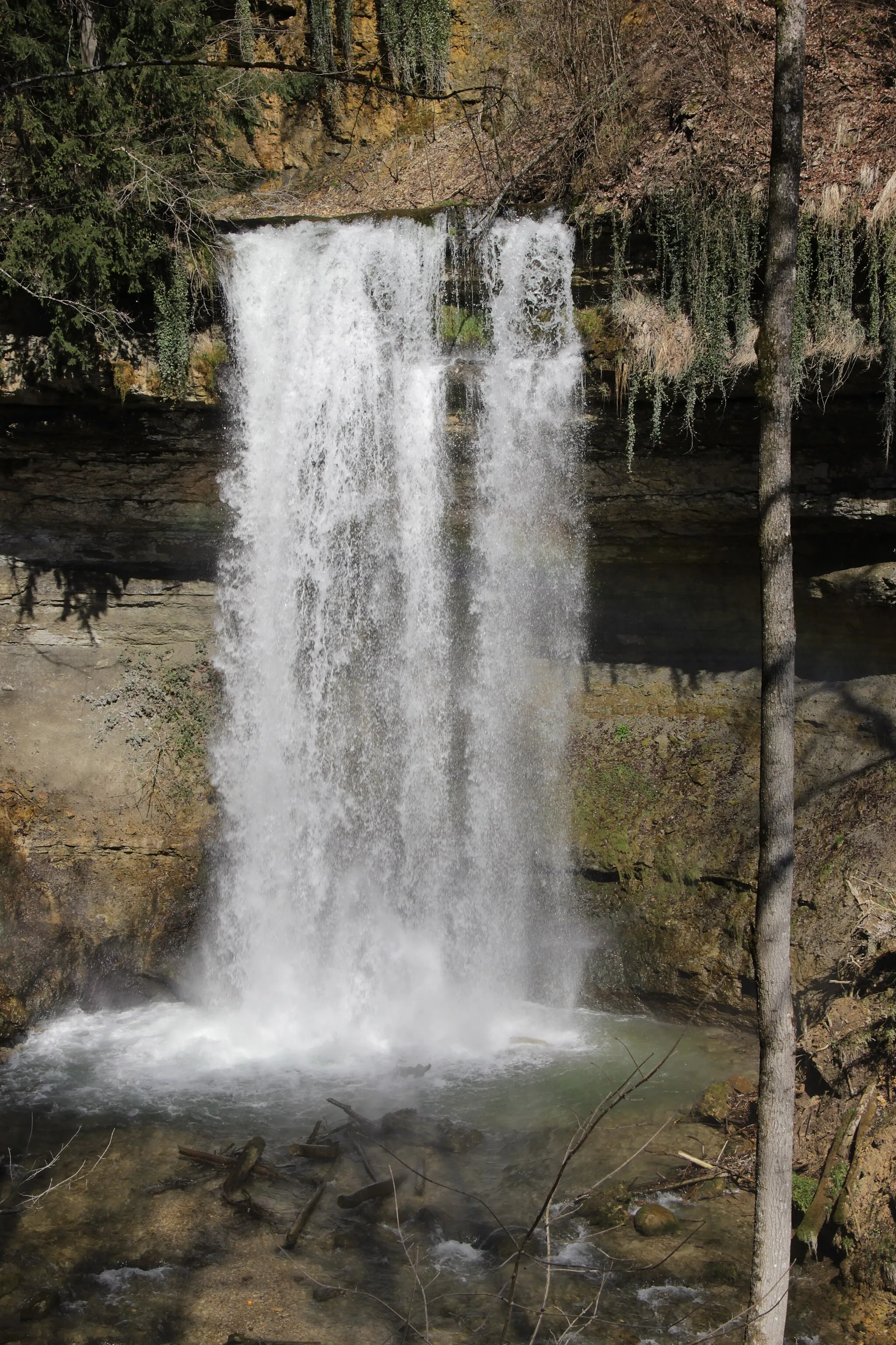 Photo showing: Cascade du Dard