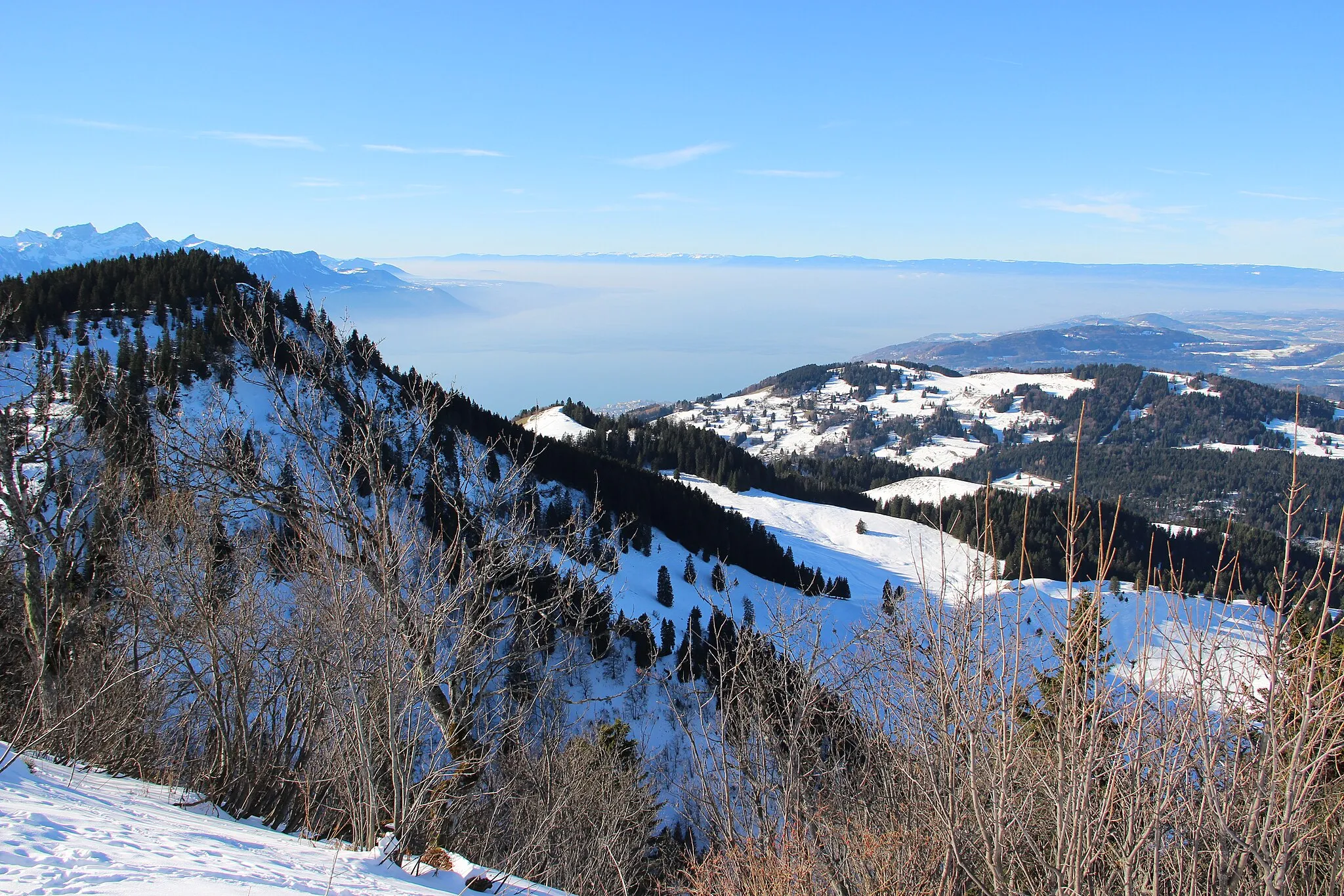 Photo showing: Scenic view onto the Lake of Geneva from Le Molard