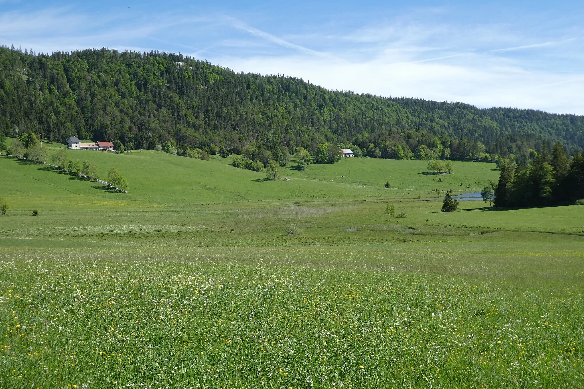 Photo showing: Prairies à Chapelle-des-Bois.