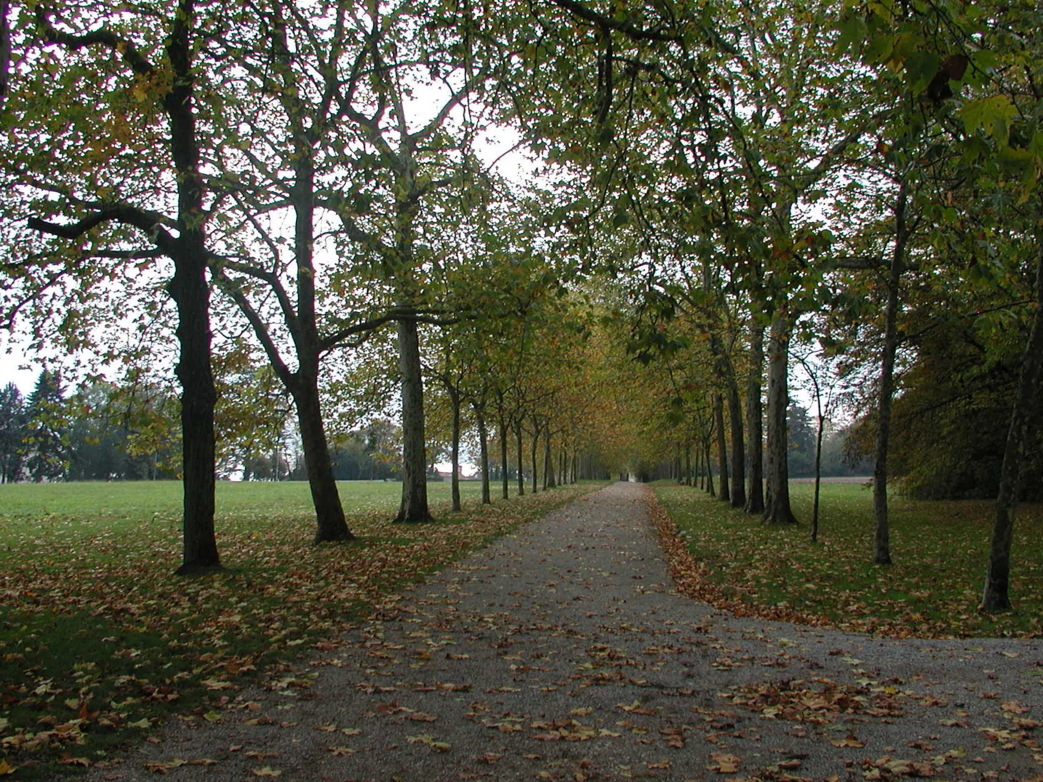 Photo showing: Path in the park of the castle of Coppet in the Swiss village Coppet located in the canton of Vaud on the lake of Geneva