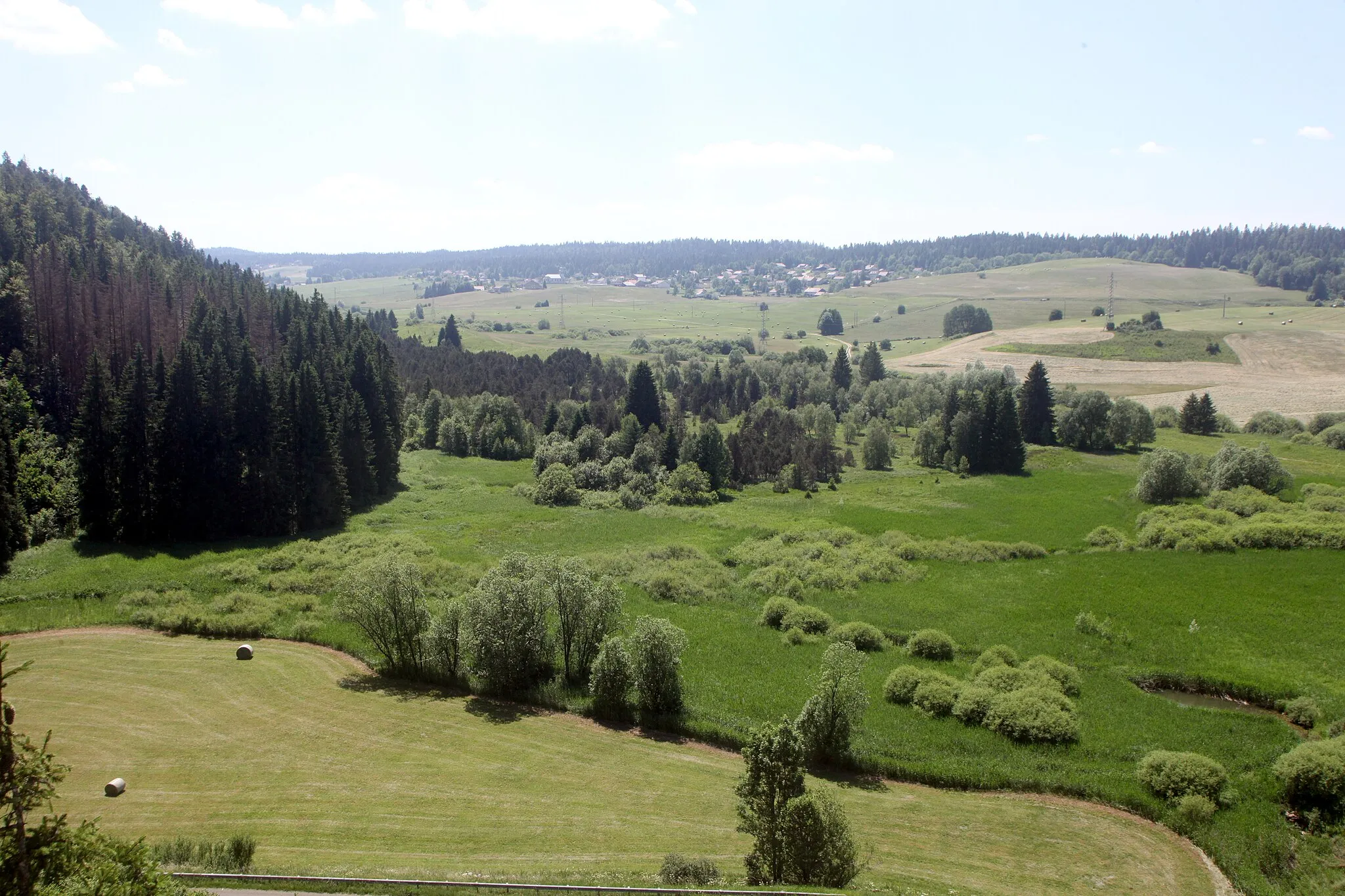 Photo showing: Vue de la RNR des tourbières du bief du Nanchez depuis le belvédère "Sur le Fort".