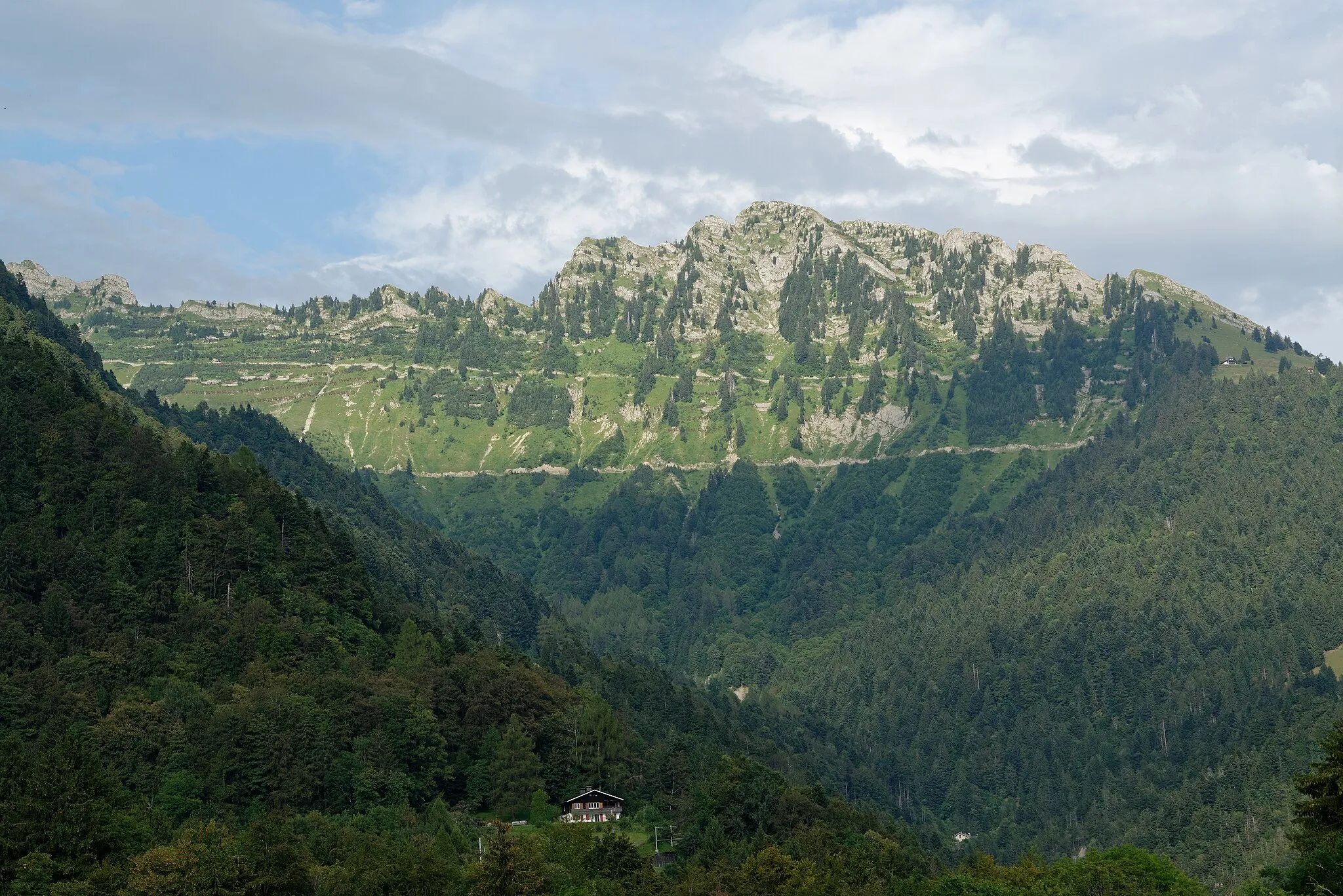 Photo showing: Les rochers de Naye (2042 m) vus depuis la route des Narcisses aux Avants.