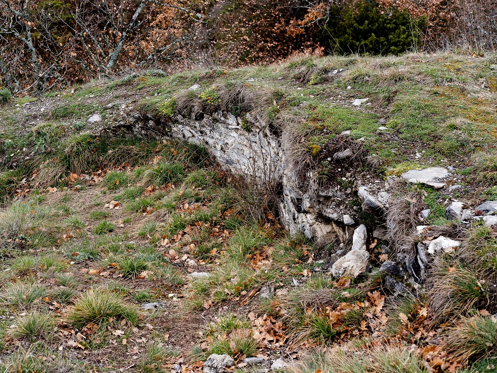 Photo showing: Des ruines du château d'Ayent.