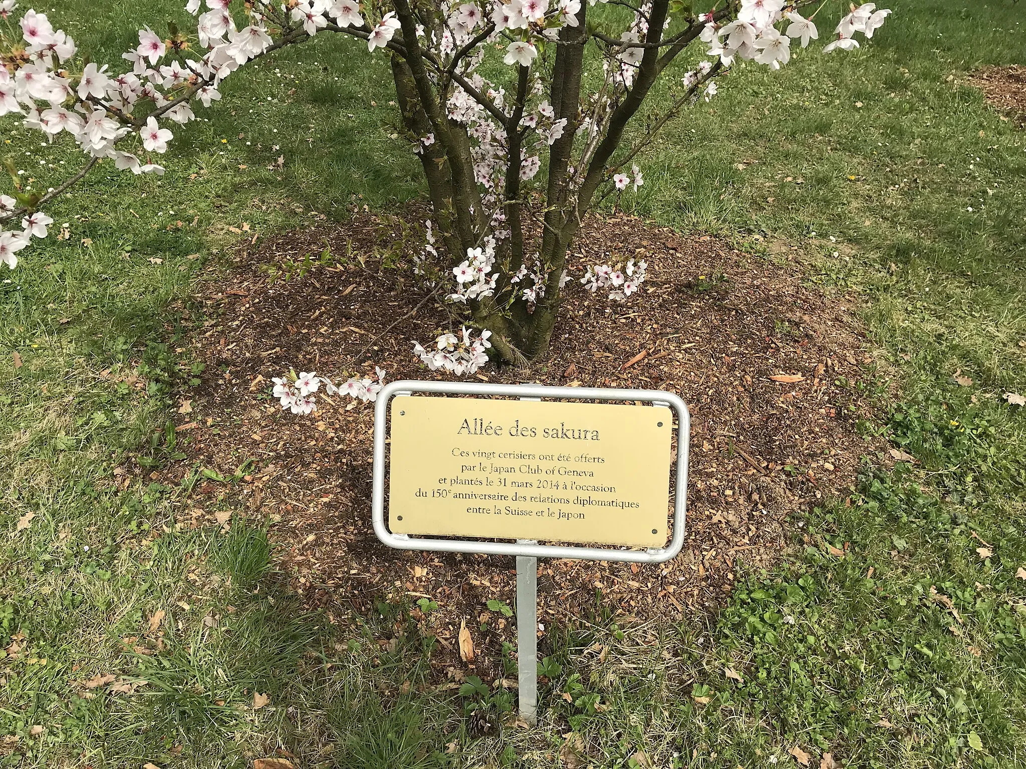 Photo showing: Parc de l'Ariana à Genève.