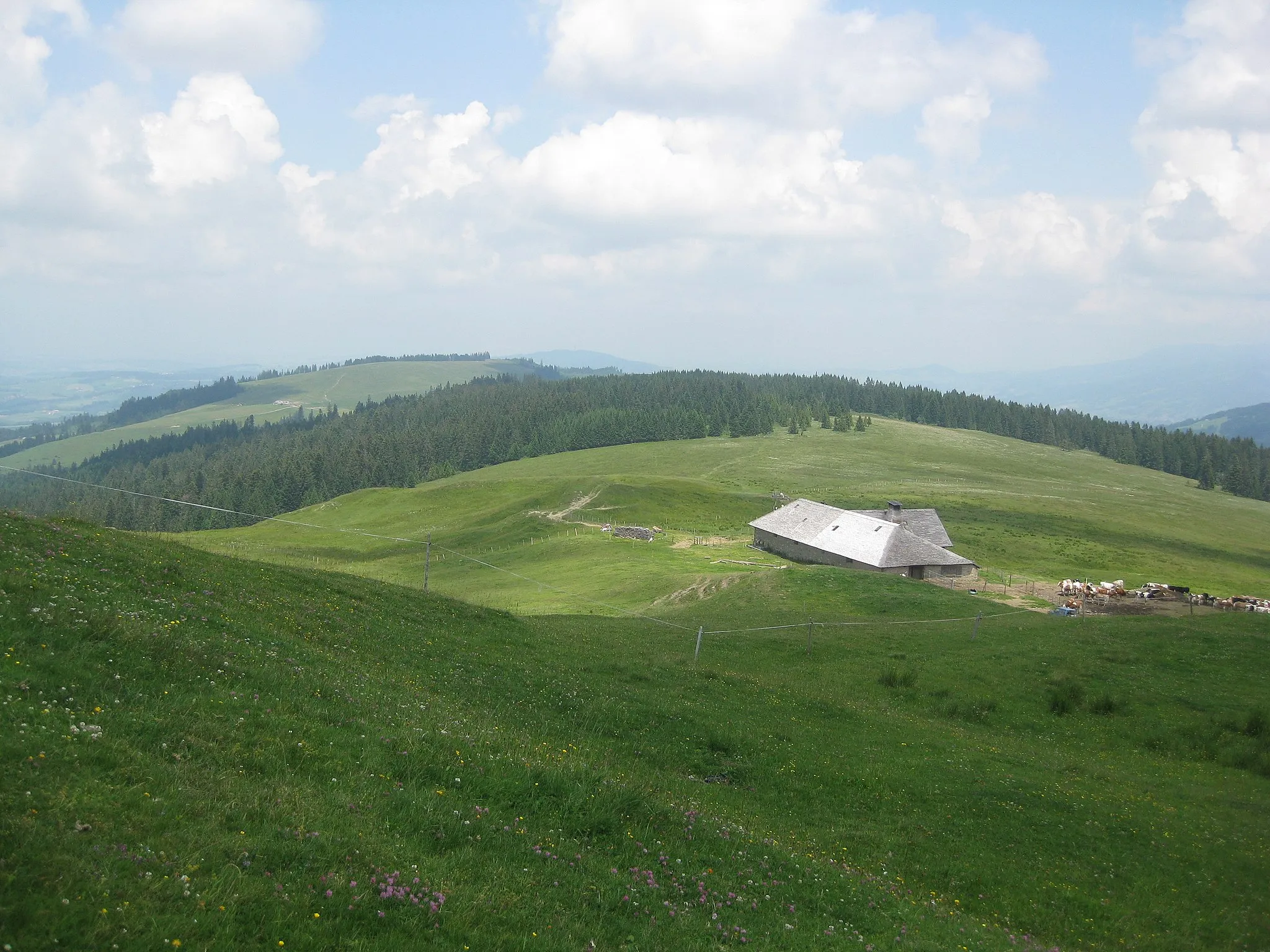 Photo showing: Vue depuis le sommet du Niremont, en direction du nord. Canton de Fribourg, en Suisse.