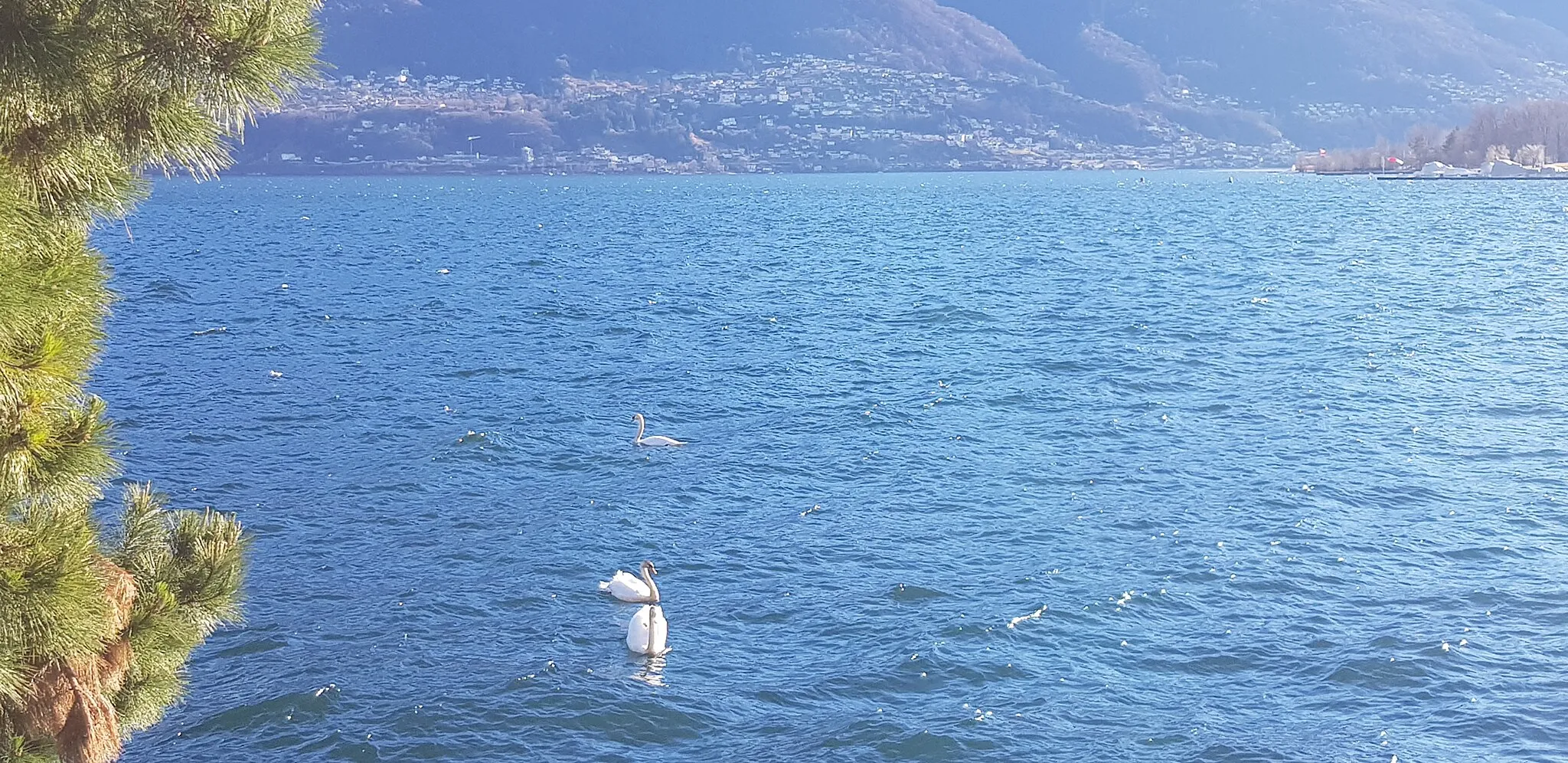 Photo showing: Lake Maggiore by ArmAg