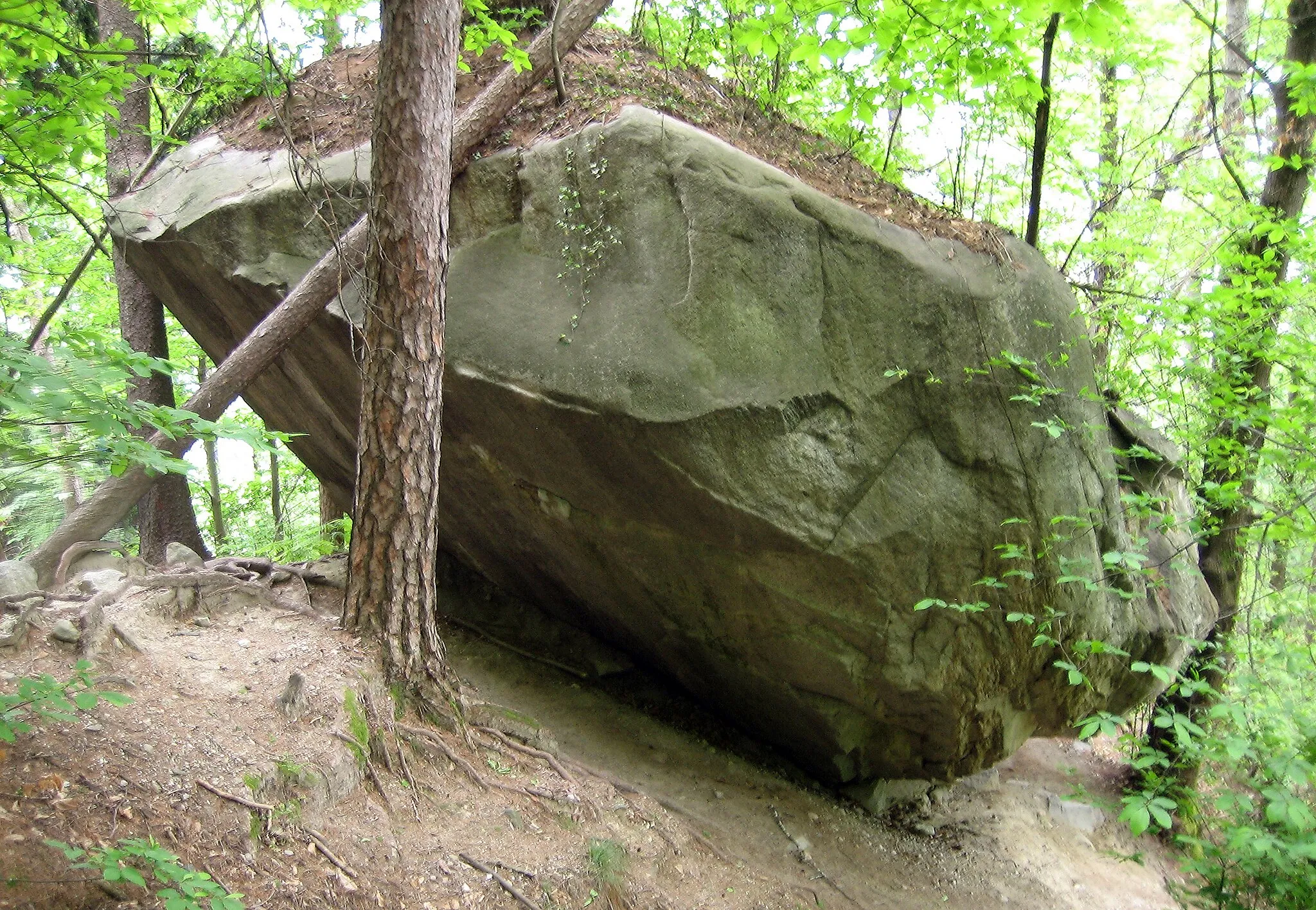 Photo showing: Dreamtime Boulder in Cresciano, opened by Fred Nicole in 2000