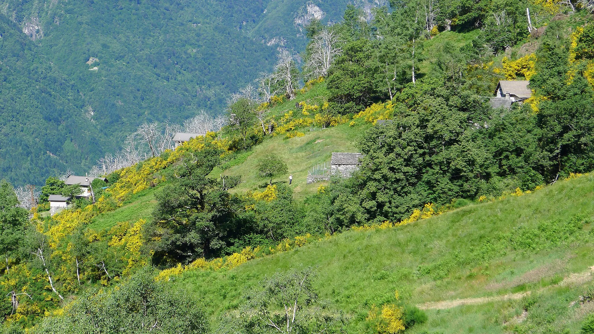 Photo showing: Day 1: From Gordevio (Maggia Valley) via Mergozzo, Alpe Pizzit,  Btta di Orgnana, Orgnana Valley, Piano to Lavertezzo (Vezasca Valey). Hiking time including breaks: 9 hours.
Detaillierter Tourenbeschrieb:

die-welt-entdecken.eu/2013/06/26/vom-maggia-ins-verzasca-...