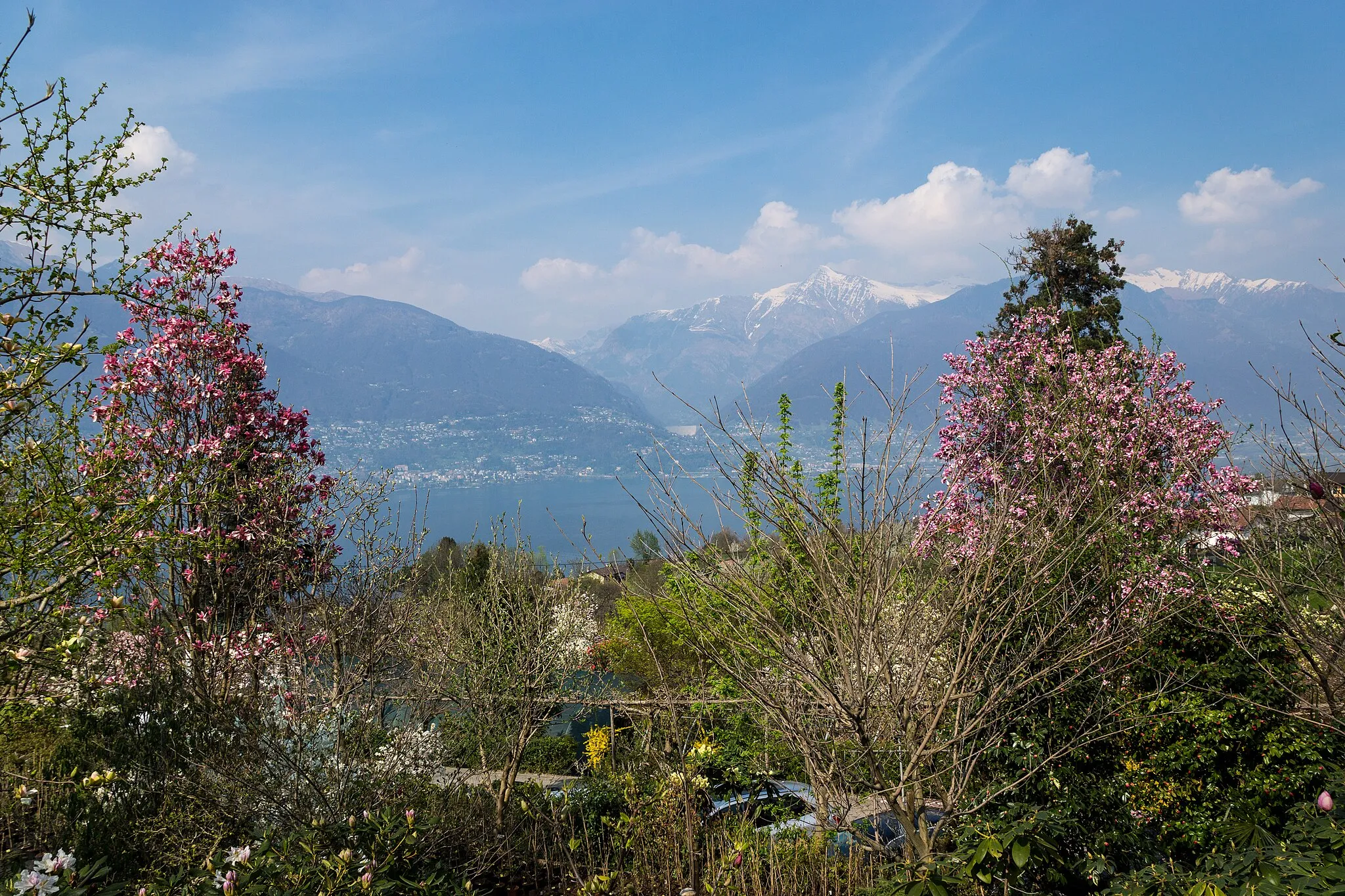 Photo showing: Botanical garden of Vivaio Eisenhut