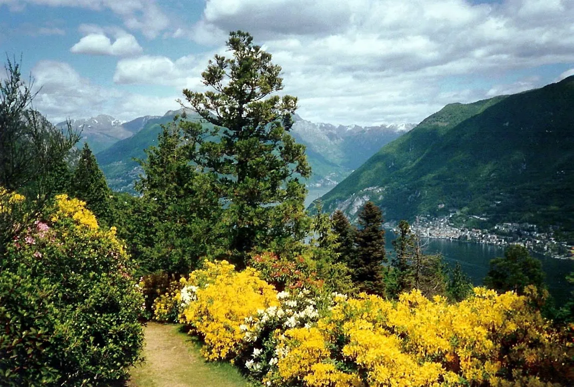 Photo showing: Paradiso TI: Parco San Grato oberhalb von Carona. Blick nach Norden zum Monte Brè. Mitte rechts der nordöstliche Seearm und die italienische Enklave Campione d’Italia.