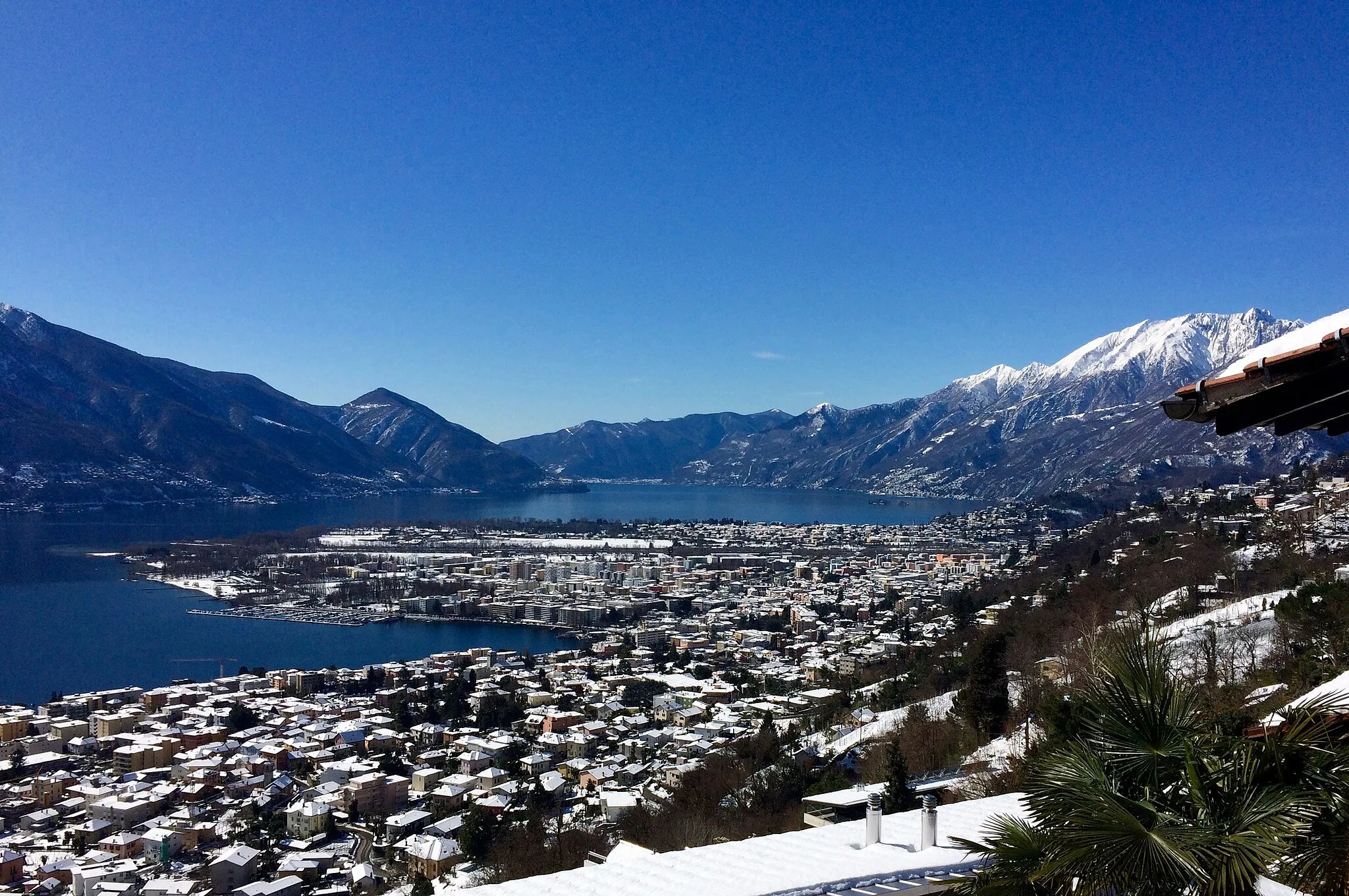 Photo showing: Lago Maggiore
veduta da Brione sopra Minusio
Ticino

Svizzera