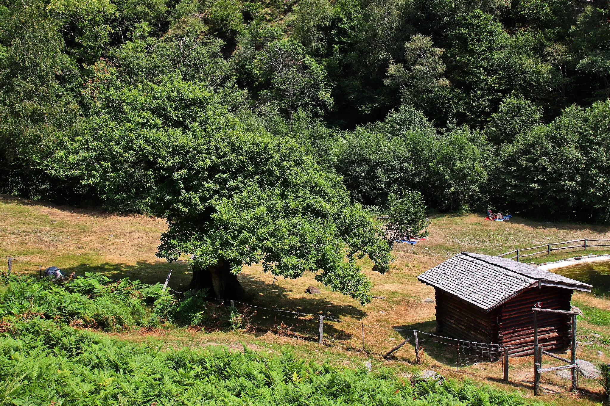 Photo showing: Brève rando de 10 km et 110 équivalents étages d’Arosio Bassa à Breno, dans le Malcantone (Tessin - Ticino) sur le chemin de la châtaigne (sentier del castagno). Le tracé GPS est ici :https://www.wikiloc.com/hiking-trails/sentiero-del-castagno-chemin-de-la-chataigne-ticino-27010791