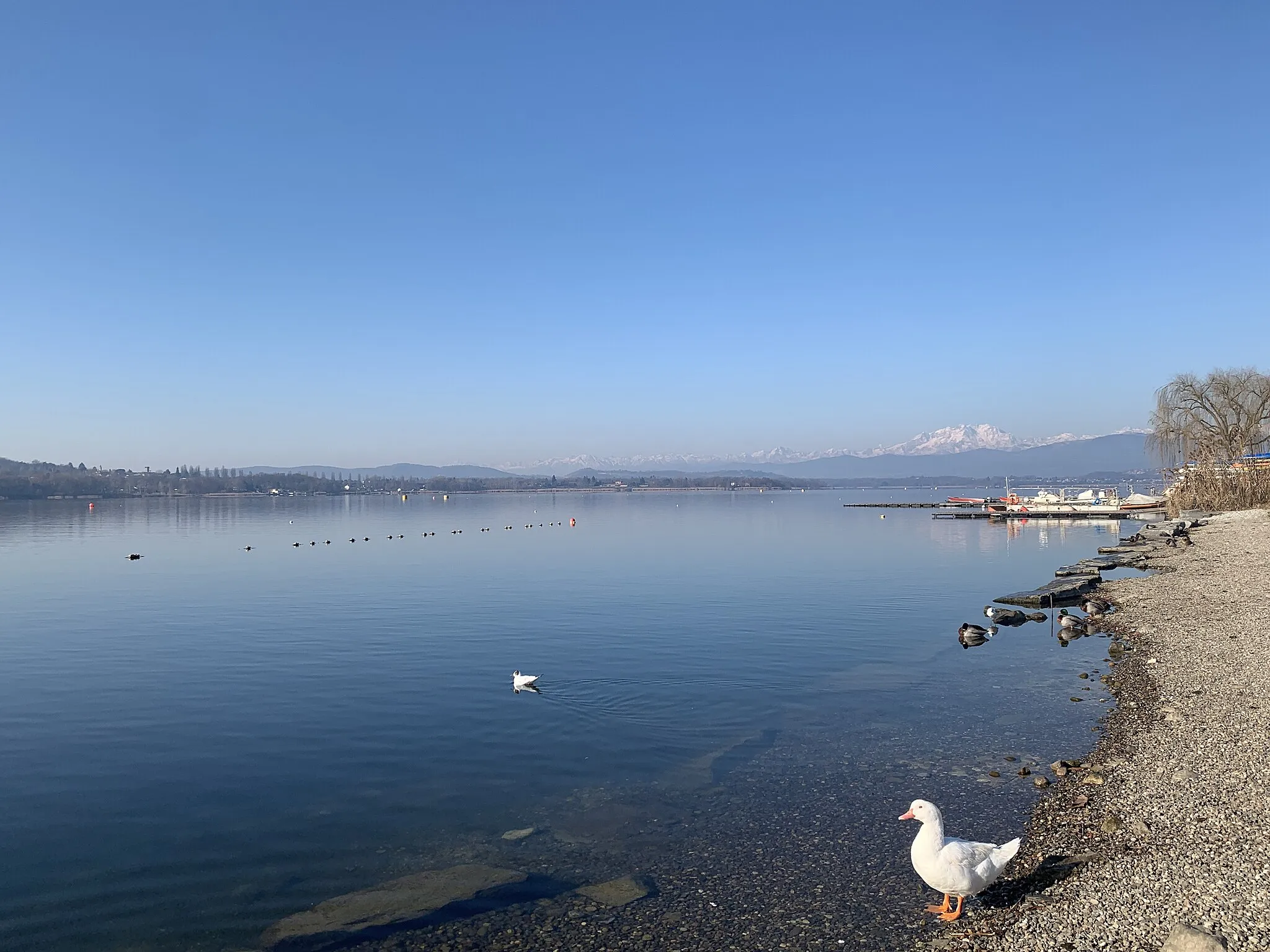 Photo showing: Lago di Varese via dei Canottieri vicino al piazzale Zanzi.