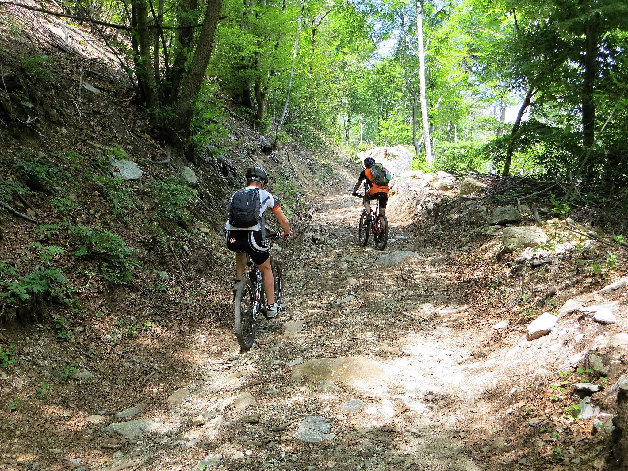 Photo showing: Bikers riding in one of the track of the park