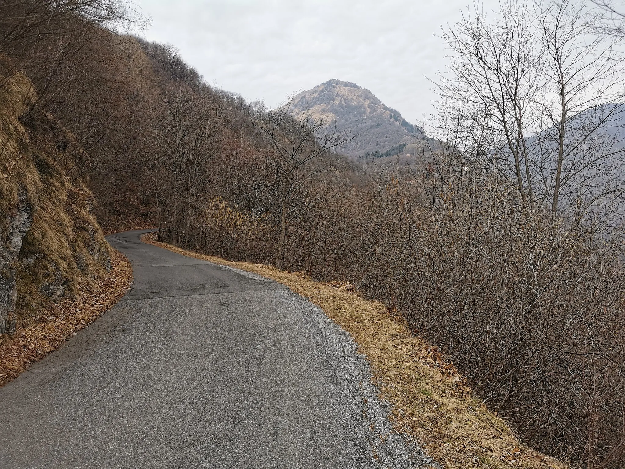 Photo showing: L'andamento serpeggiante di Via Monti di Gottro, sullo sfondo del Monte Pidaggia.