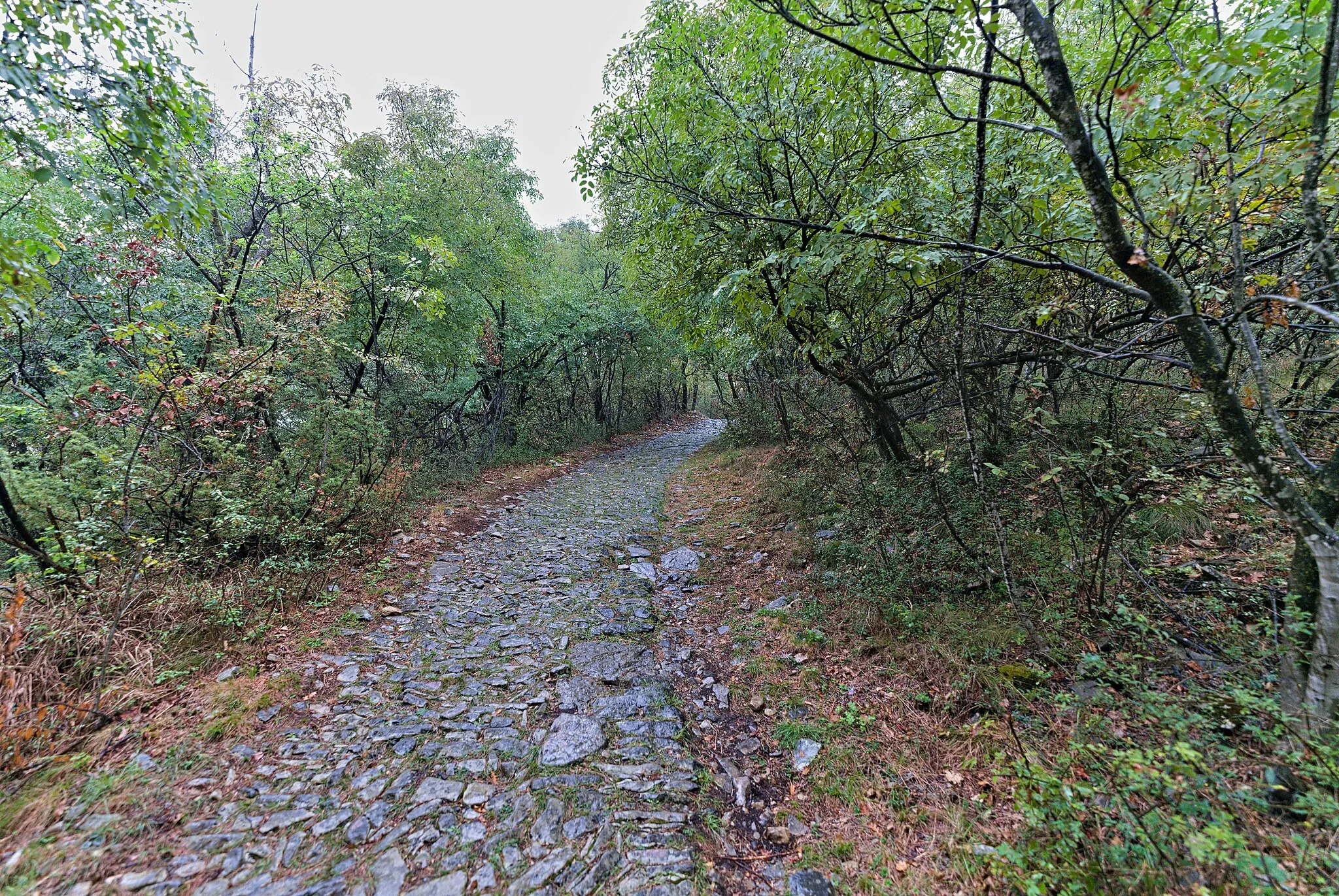 Photo showing: Track Via dei Monti in the core area of the UNESCO world heritage site Monte San Giorgio in Mendrisio.