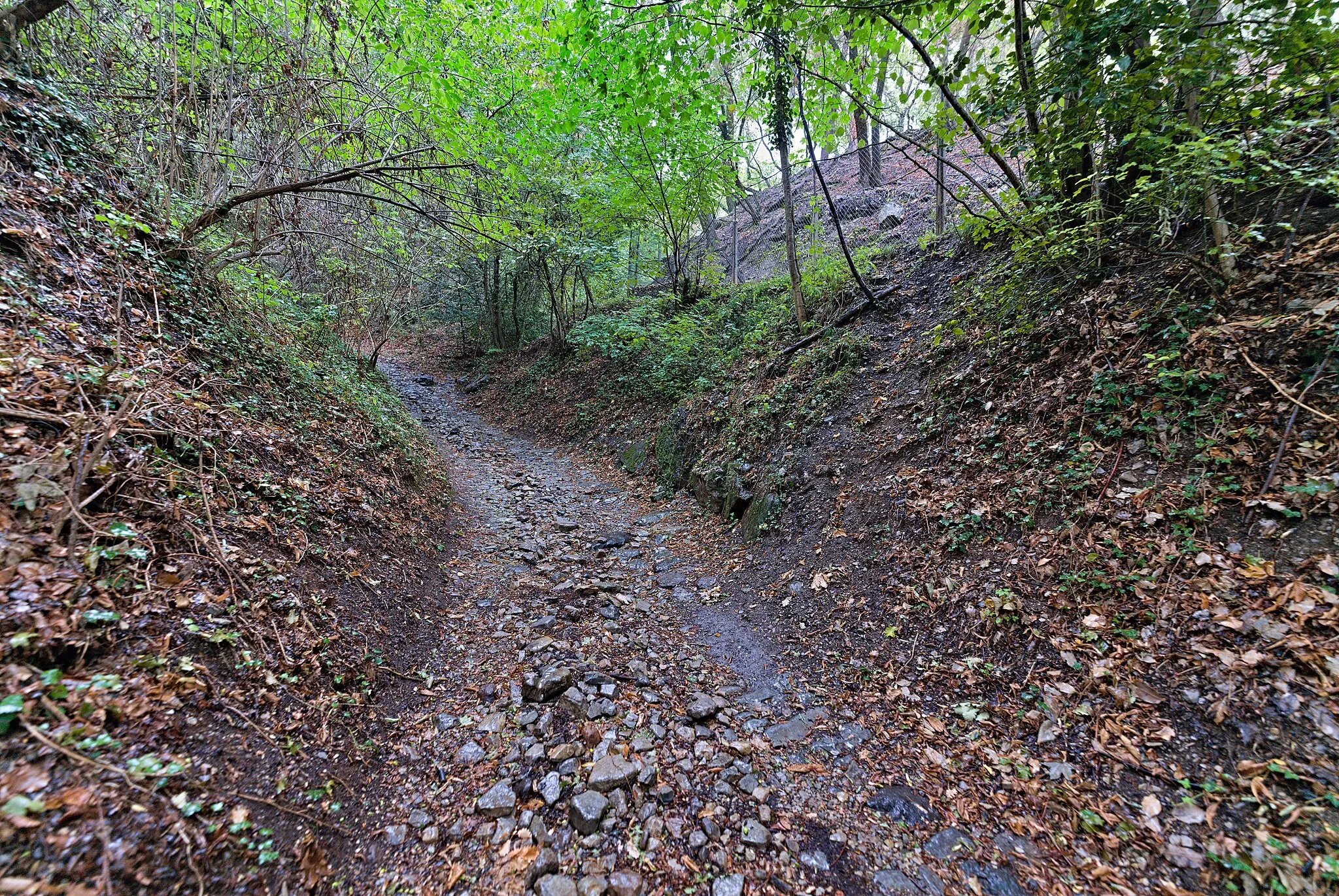 Photo showing: Track Via dei Monti in the core area of the UNESCO world heritage site Monte San Giorgio in Mendrisio.