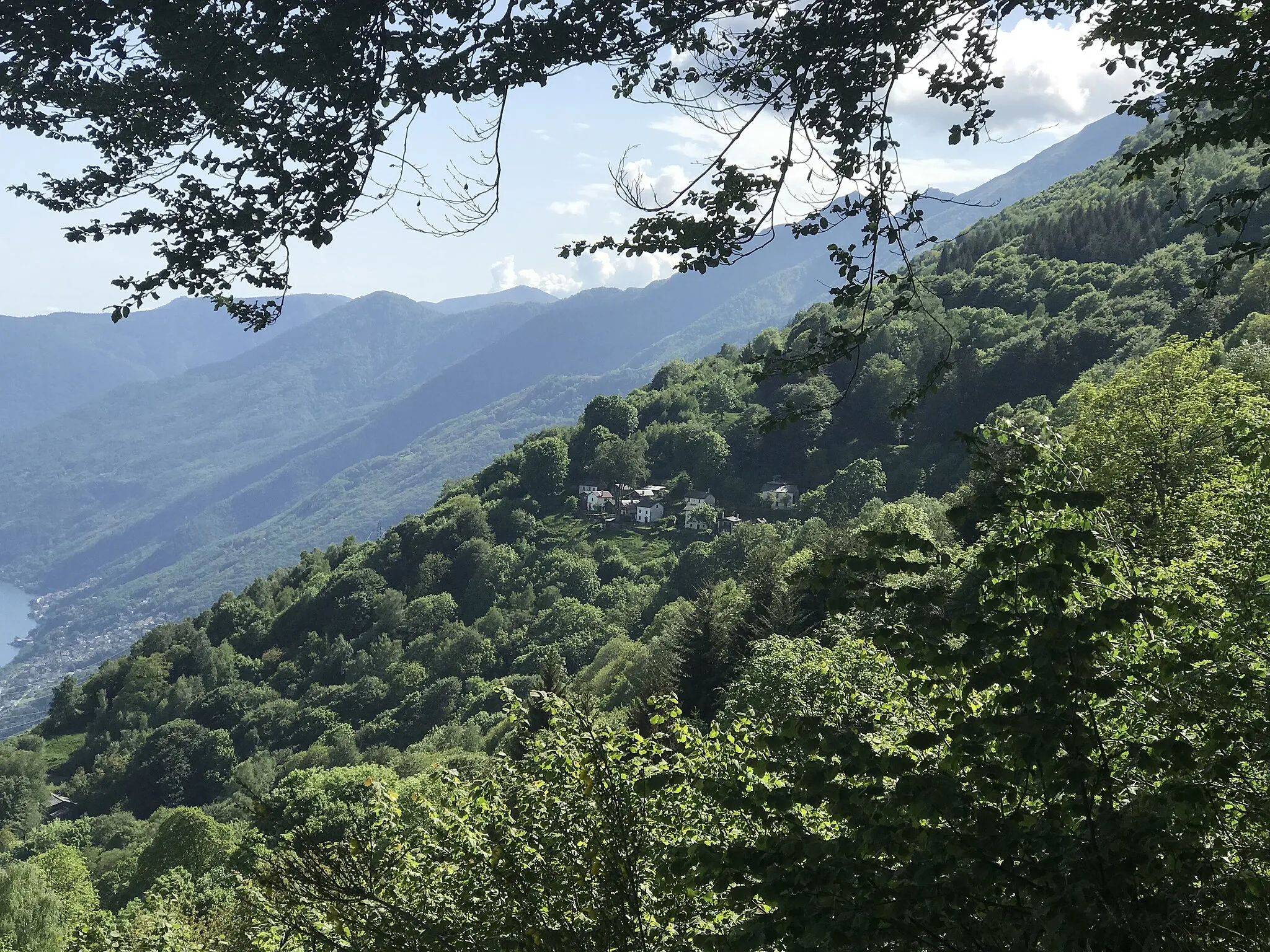 Photo showing: Die Monti di Ronco über Ronco sopra Ascona, mit Porera in der Bildmitte