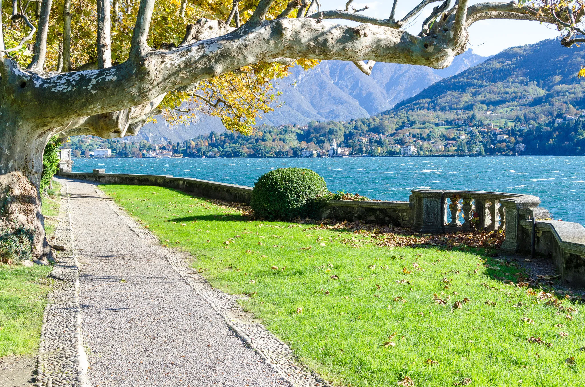Photo showing: 500px provided description: Peace [#park ,#lake ,#nature ,#walk ,#Italy ,#Tremezzo ,#Como ,#Lake Como ,#Lombardia]