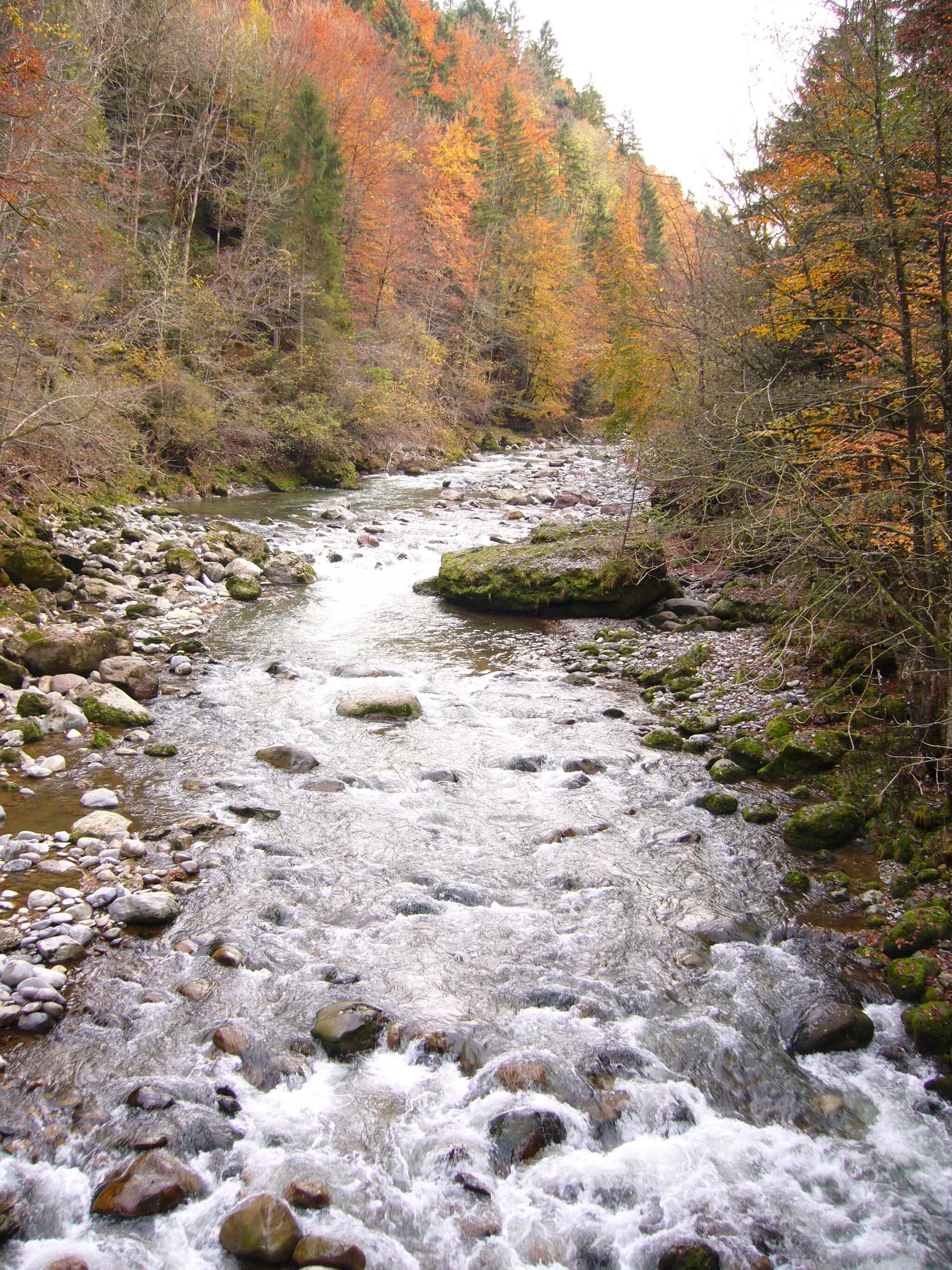 Photo showing: Sihl beim Sihlsprung. Blick flussaufwärts.