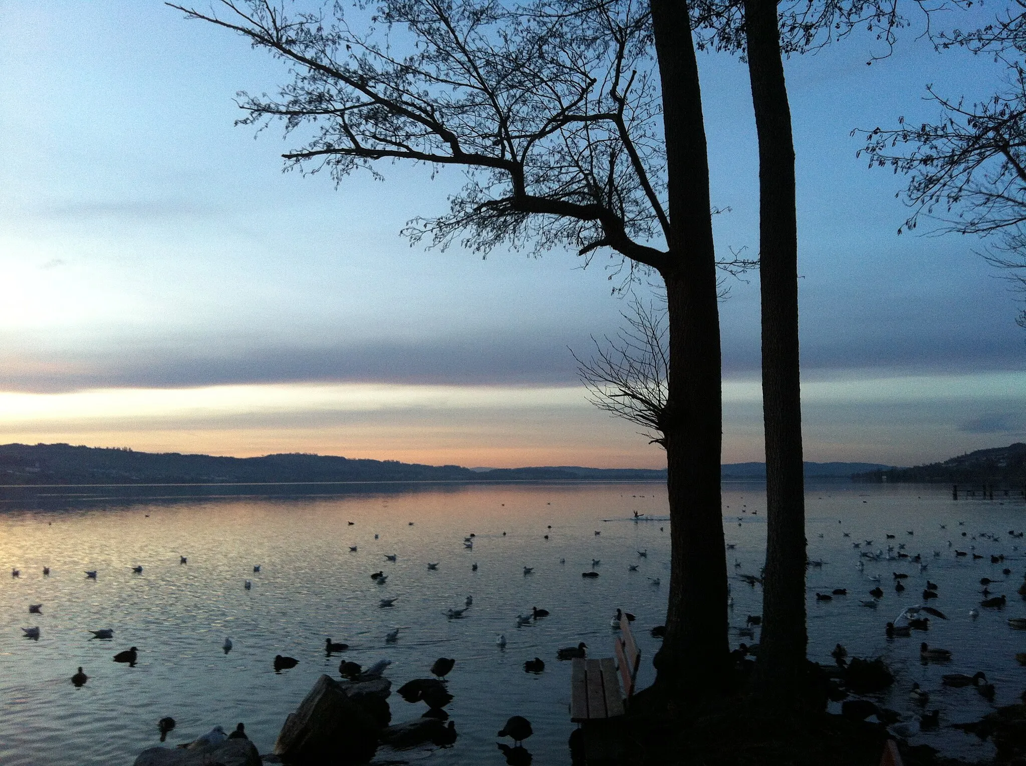 Photo showing: Lake Sempach, Sempach, Lucern