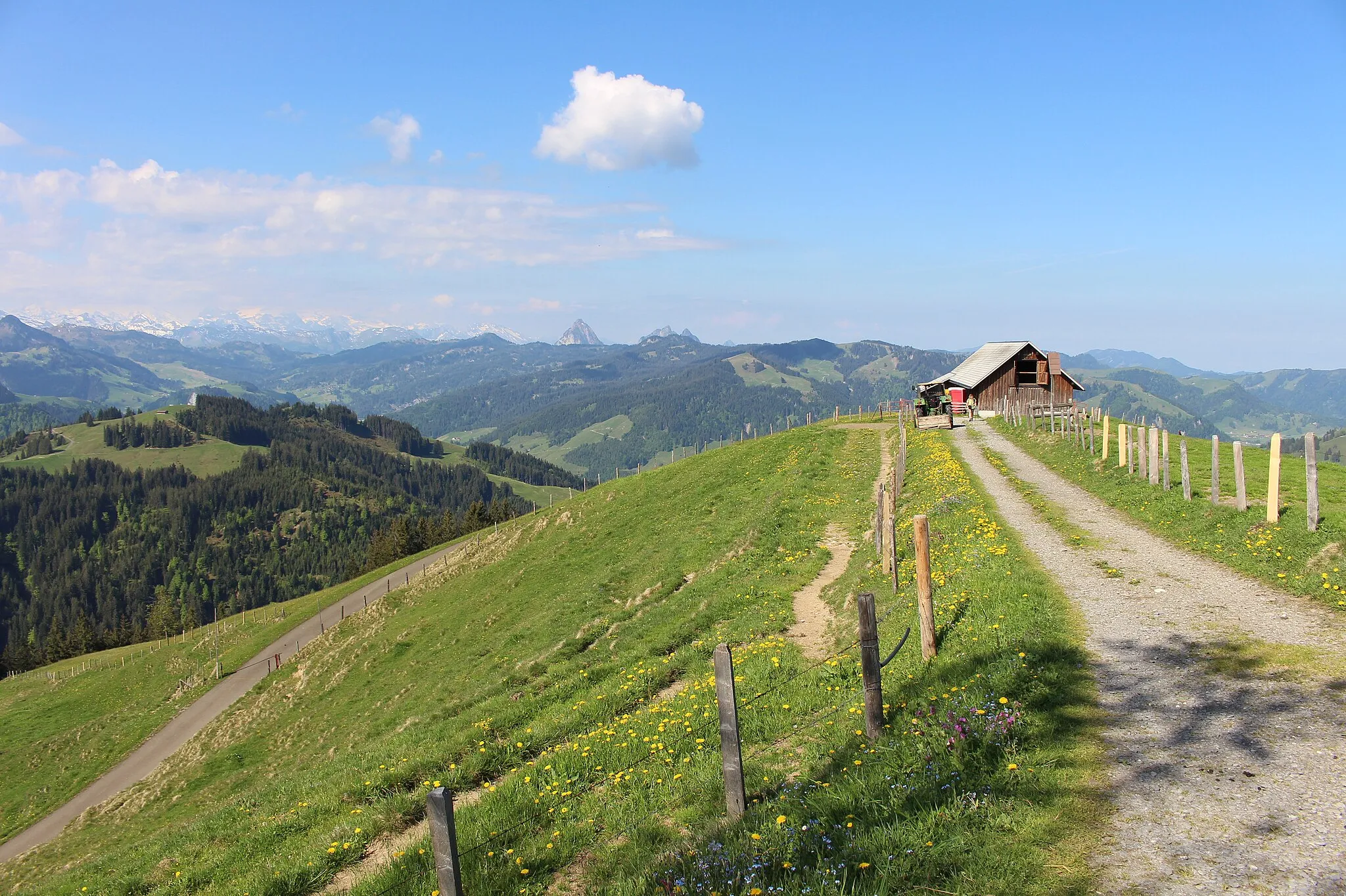 Photo showing: Blick auf die Alp Wildegg (1504 m.ü.M.) zwischen Euthal und Chli Aubrig im Schweizer Kanton Schwyz.