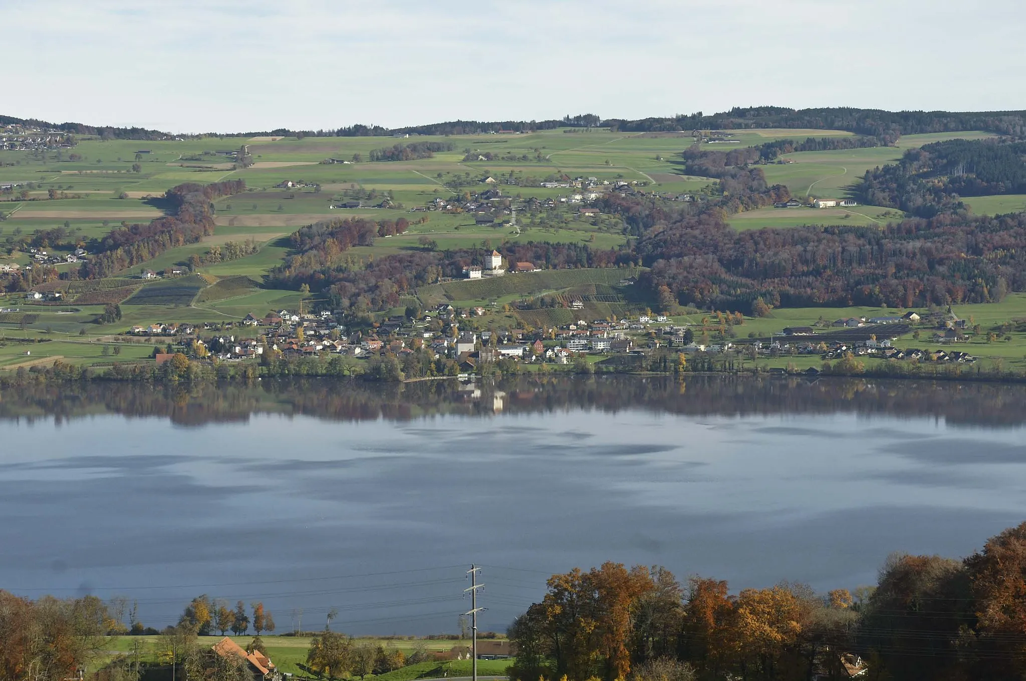 Photo showing: Gelfigen in the canton of lucerne, lake Baldegg