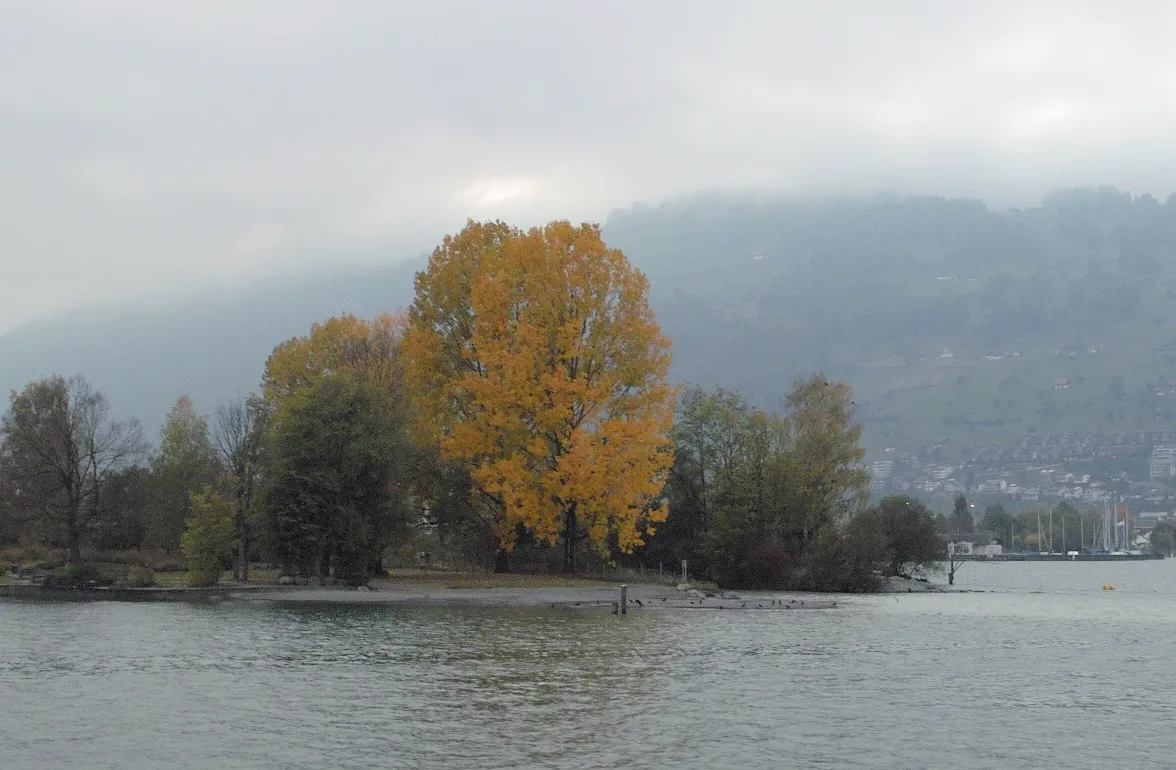 Photo showing: Estuary of the Engelberger Aa river at Buochs, Vierwaldstättersee (Lake Lucerne).