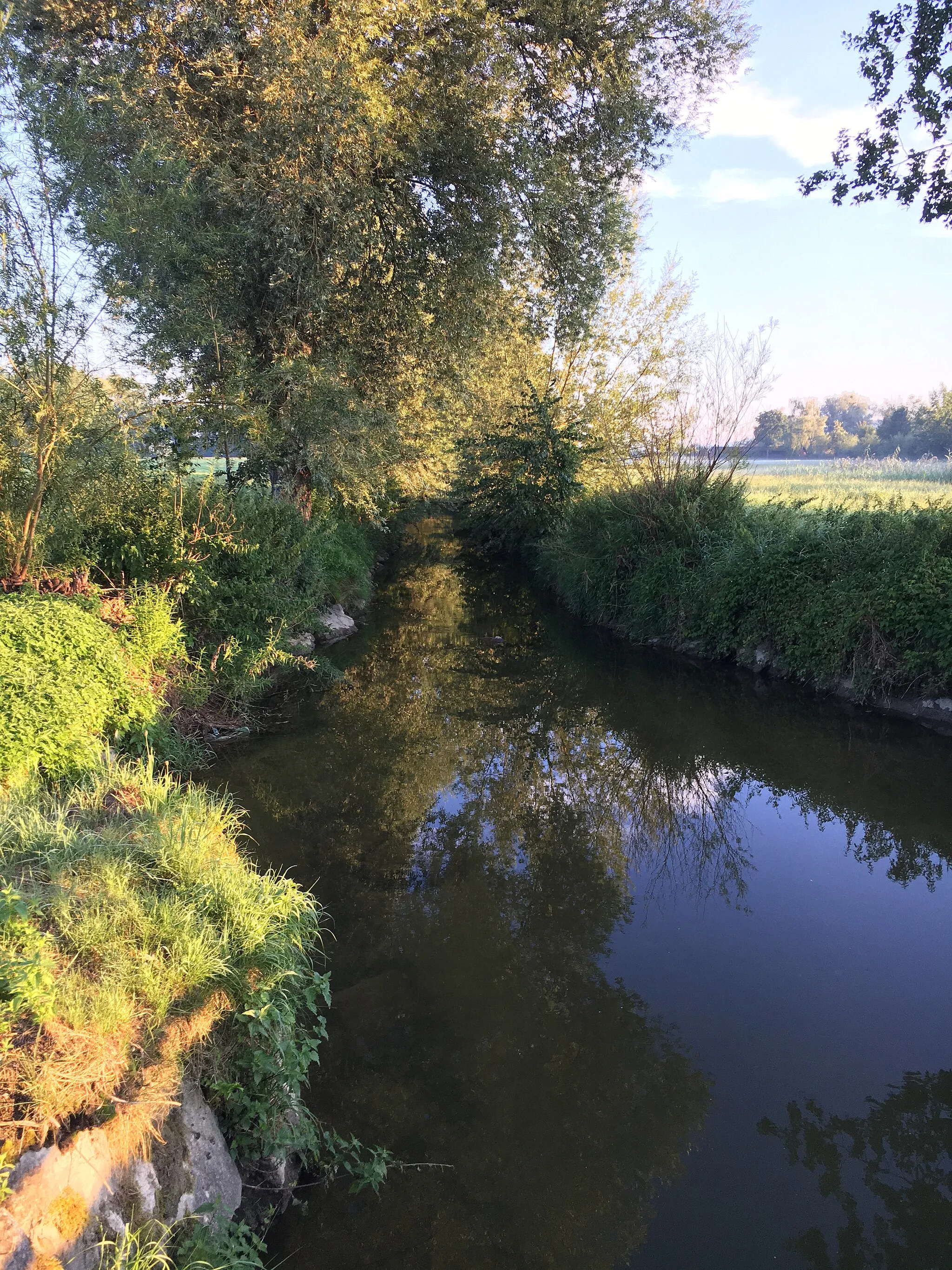 Photo showing: Canalized Ron near Baldegg, right before its mouth into the Baldegg lake