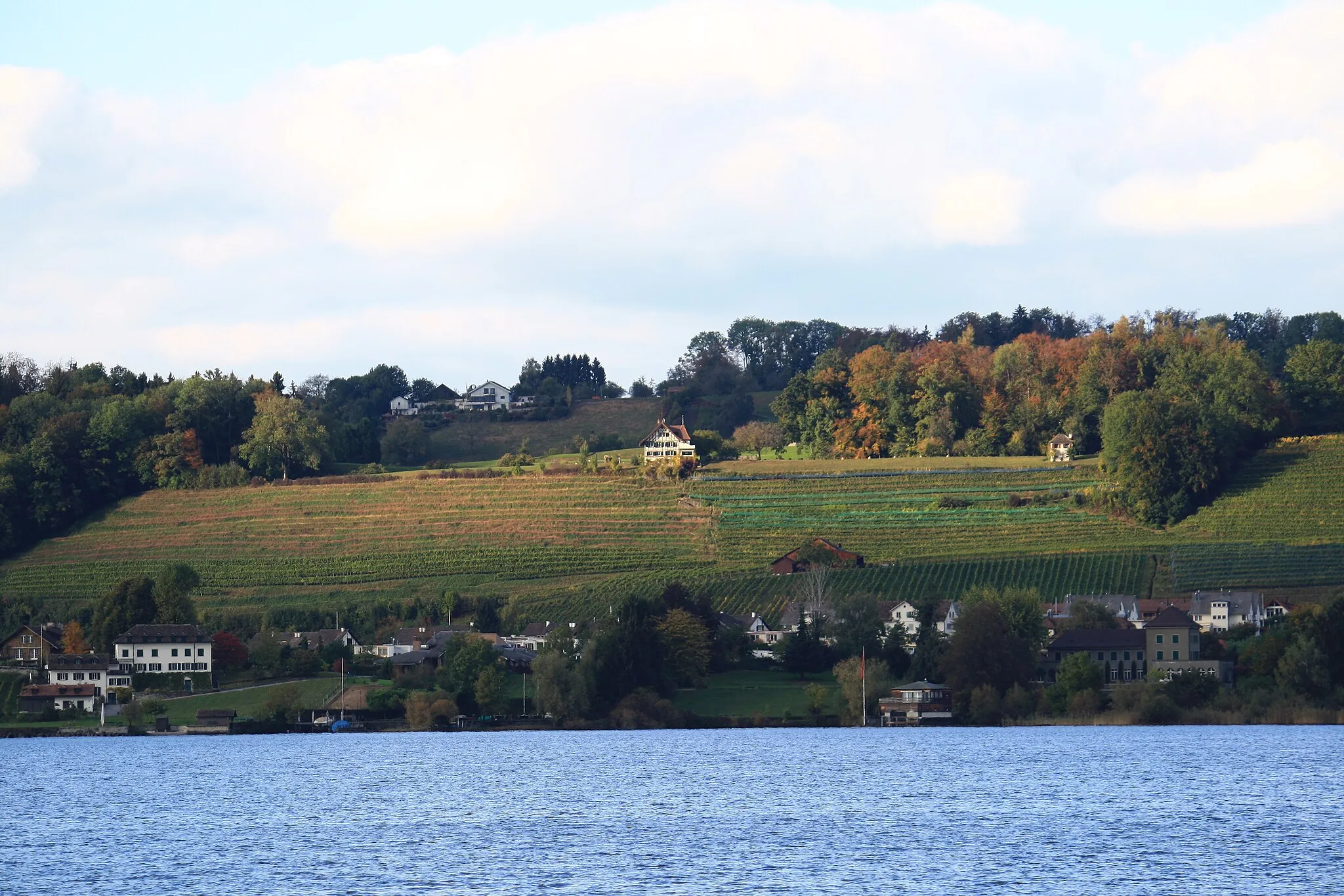 Photo showing: Feldbach (Switzerland) as seen from Lindenhof in Rapperswil (Switzerland)