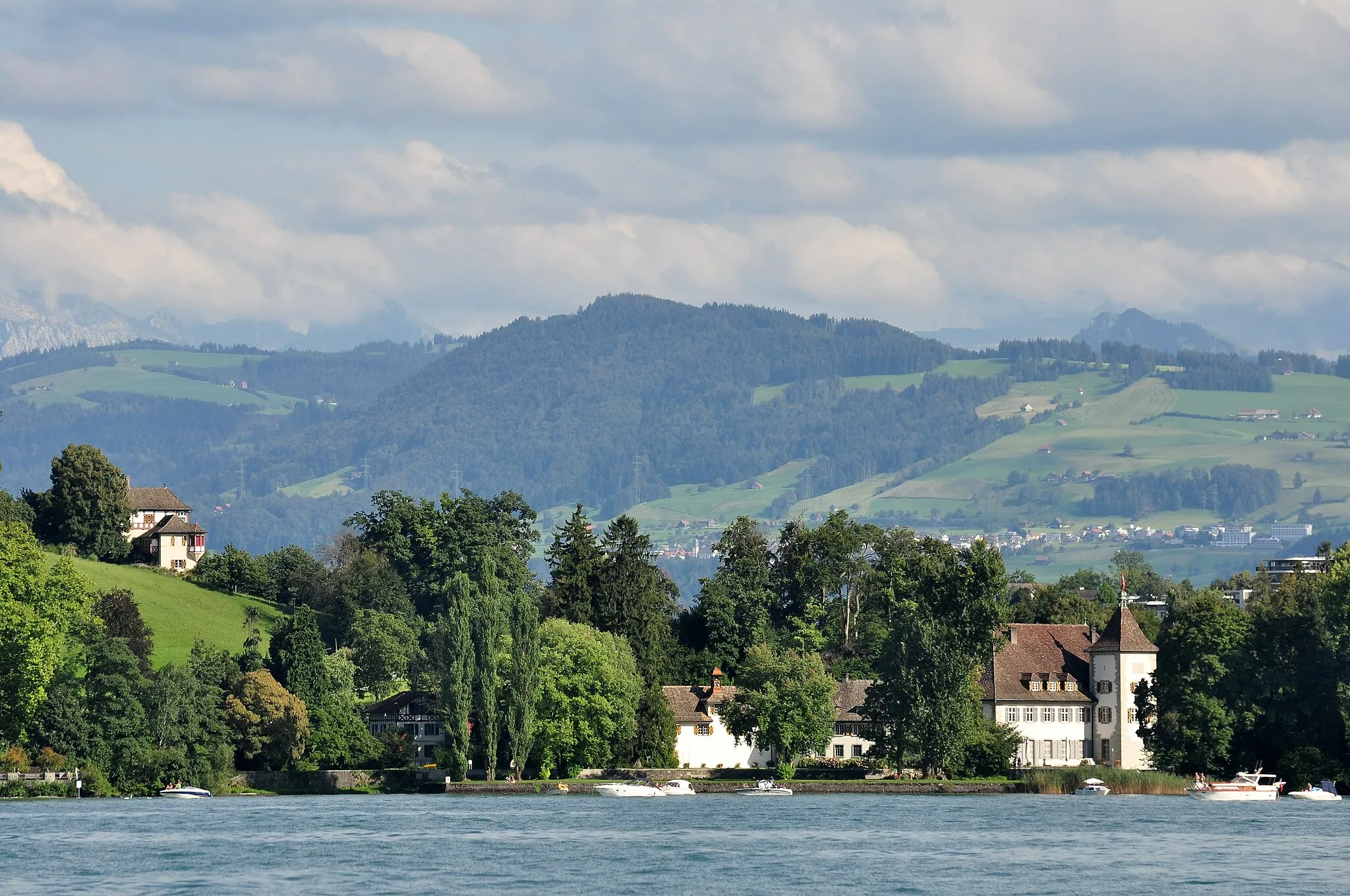 Photo showing: Au peninsula and Werdmüller estate in Au (Switzerland), as seen from ZSG paddle steamship Stadt Rapperswil on Zürichsee, Etzel mountain in the background.