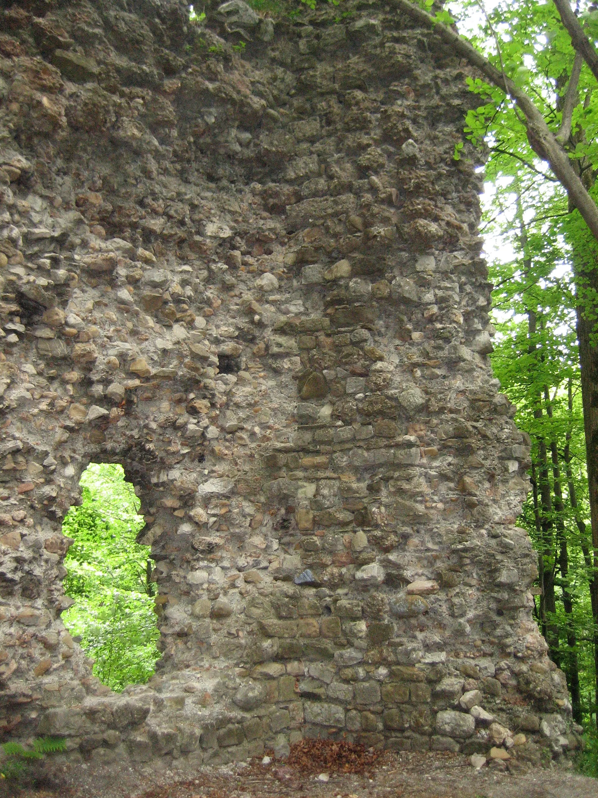 Photo showing: de:Ruine Niederwindegg: Südecke