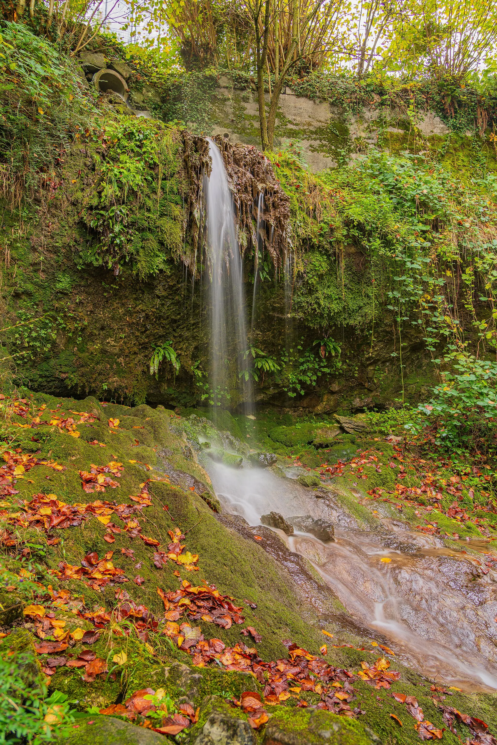 Photo showing: Agroscopebach-Wasserfall bei Wädenswil