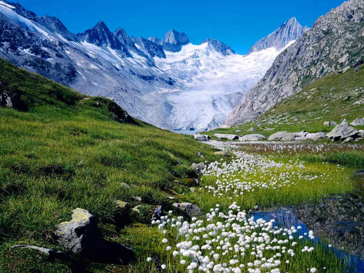 Photo showing: Oberaarhornglacier (NOT Unteraarhornglacier as filename suggests). Left Roossehörner and Roosseejoch 3132m, Oberaarrothorn 3477m, Nollen 3402m,Oberaarjoch and Oberaarhorn .