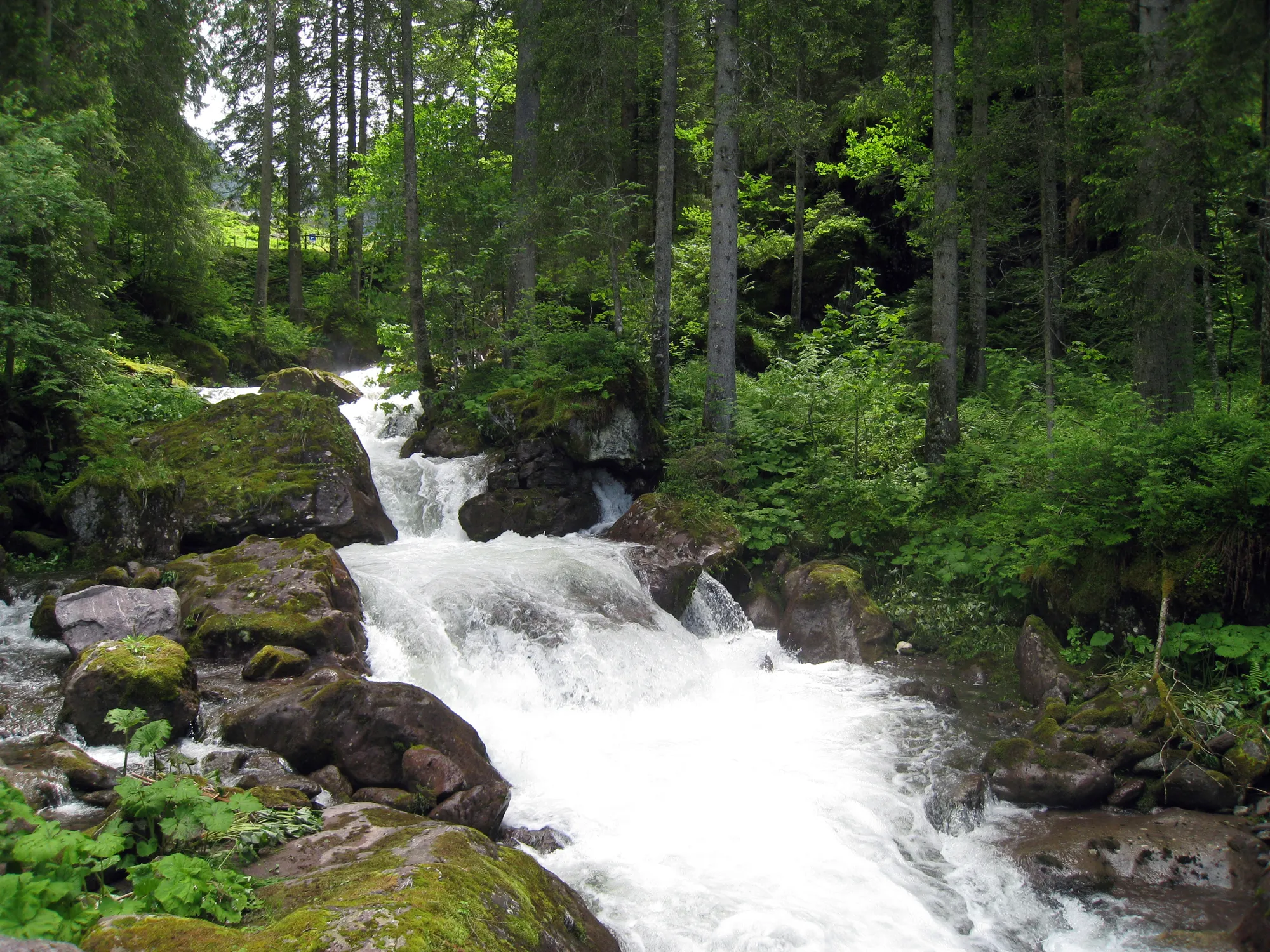 Photo showing: Murgtal von der Brücke beim Gsponbachfall aus