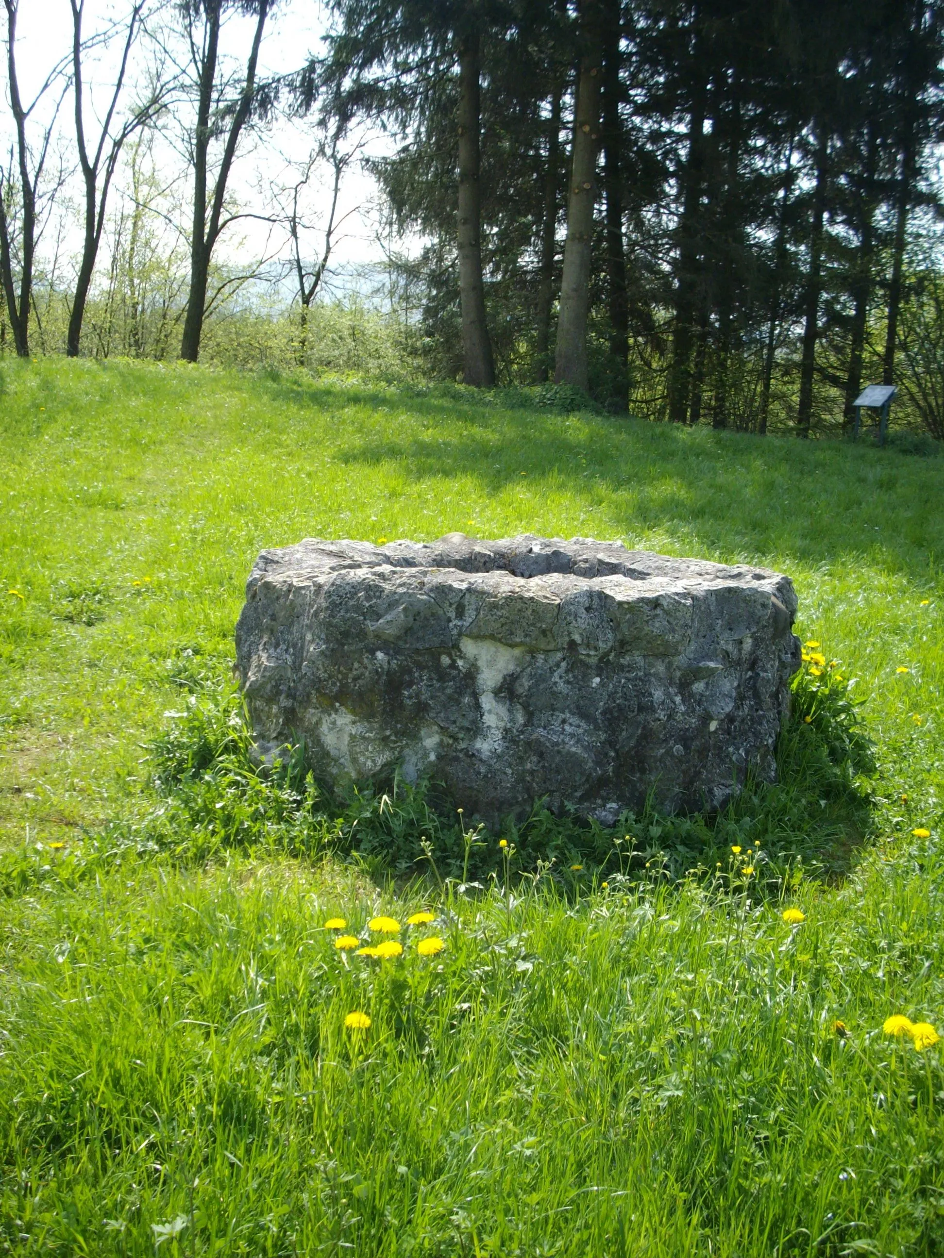 Photo showing: Alt-Eschenbach Rekonstruierter Sodbrunnen