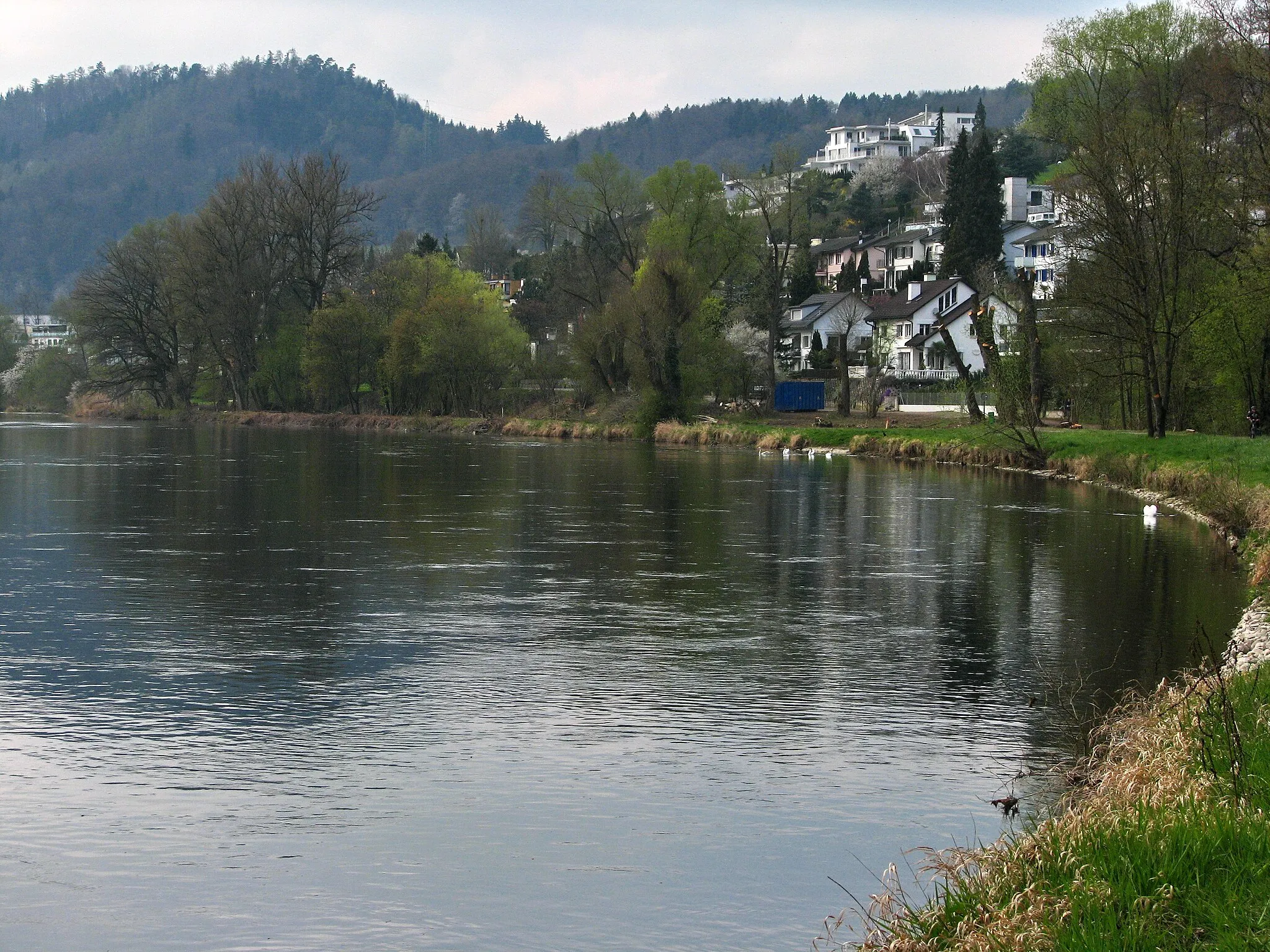 Photo showing: Limmat in Geroldswil