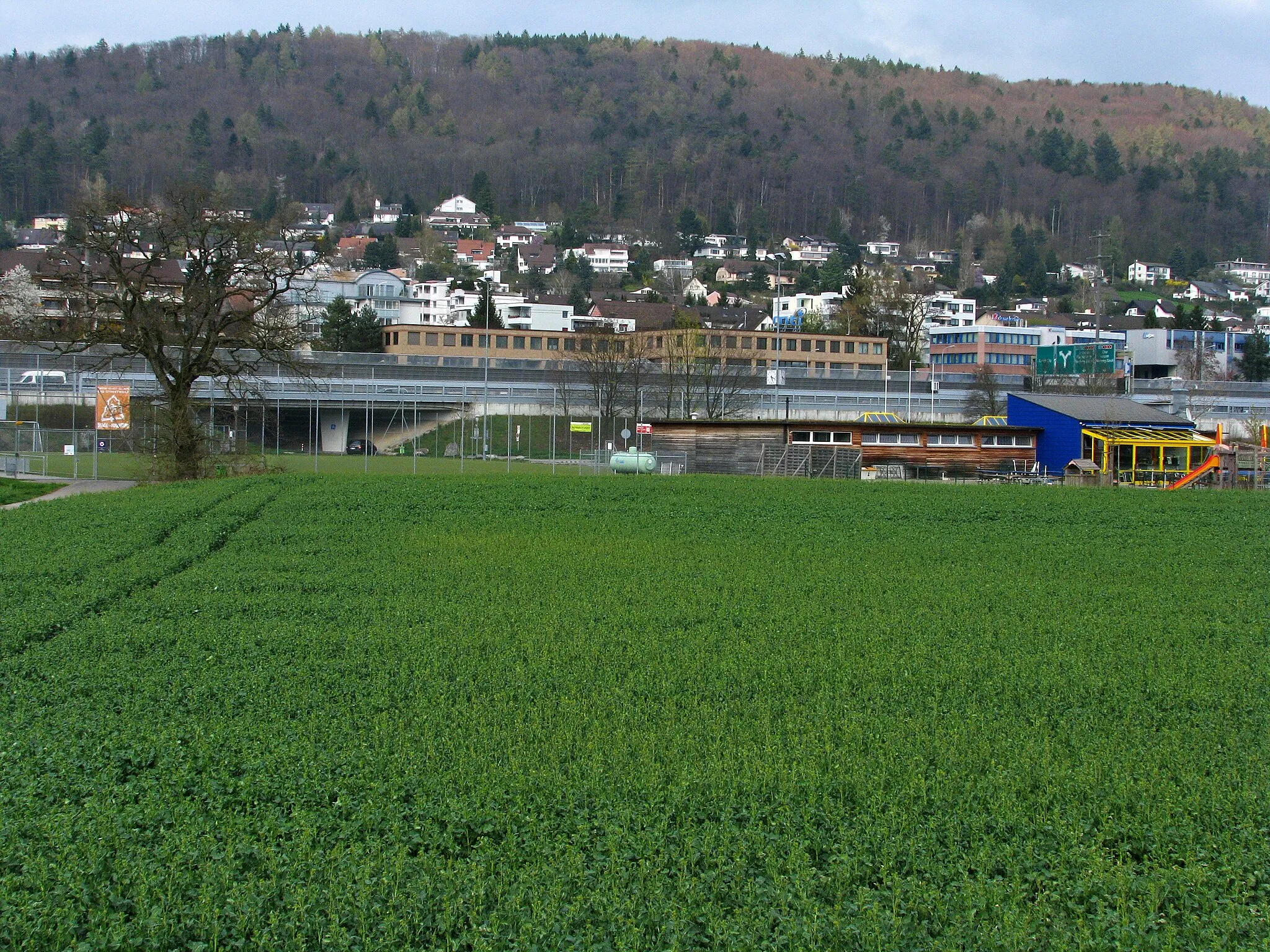 Photo showing: Limmatuferweg in Geroldswil